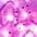 bunt