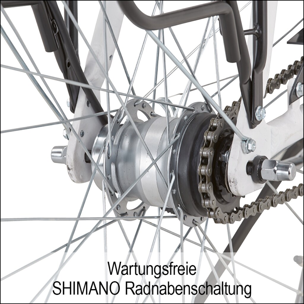 Didi THURAU Edition E-Bike »Alu City Comfort Tiefeinsteiger«, 3 Gang, Shimano, Frontmotor 250 W, (mit Schloss)