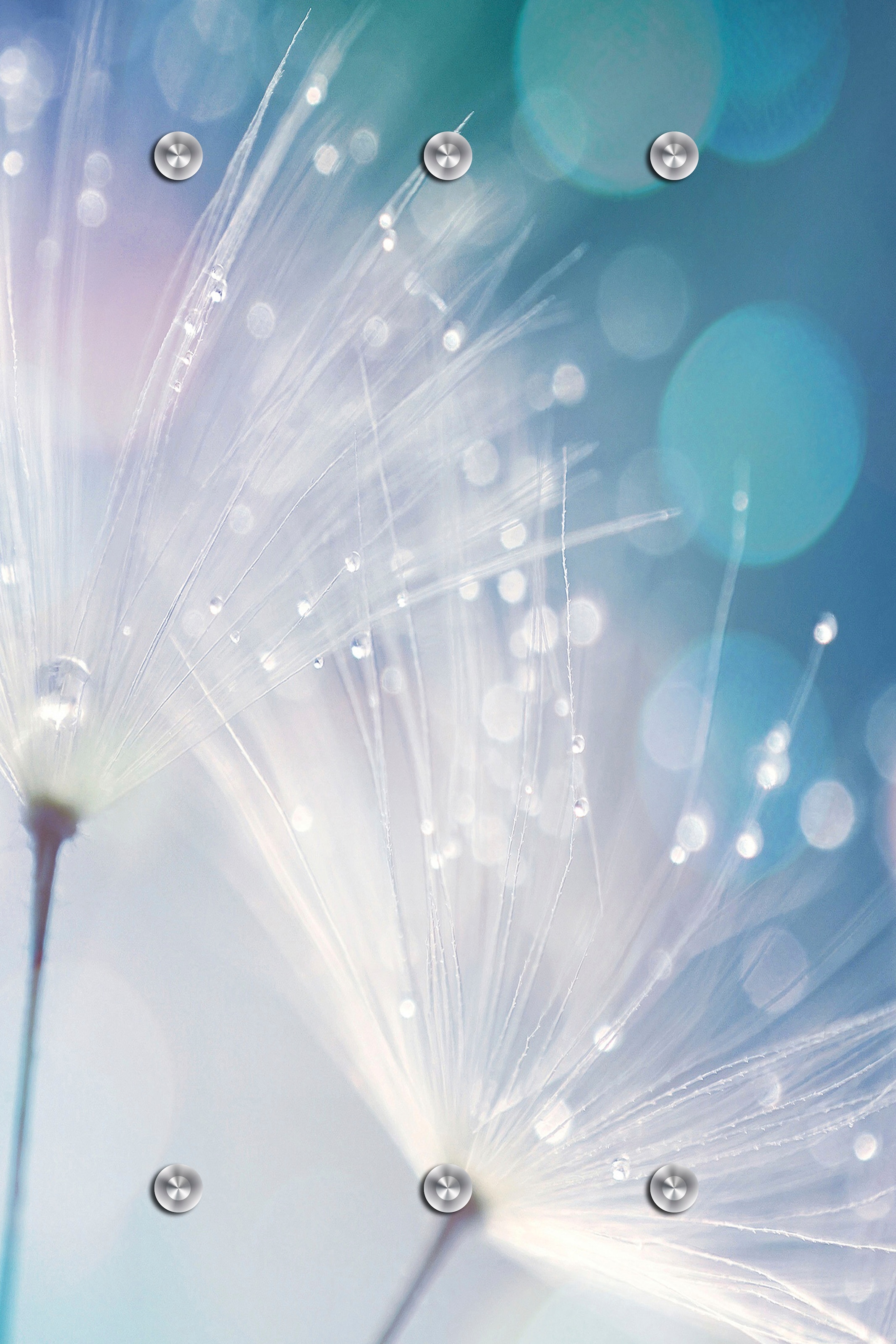 queence Garderobenleiste »Dandelion«, Wand Garderobe, Pflanze, Pusteblume, platzsparend