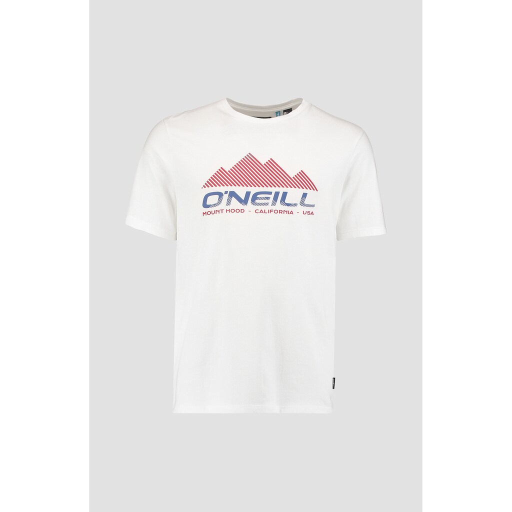 O'Neill T-Shirt »"Dan"«