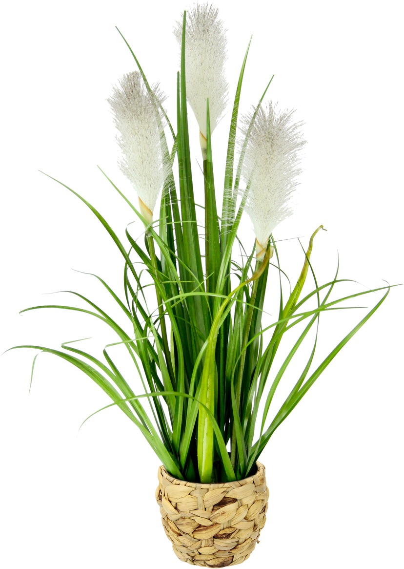 - Arrangement auf im Erika bestellen Raten Korb« Künstliche Zimmerpflanze »Lavendel Botanic-Haus