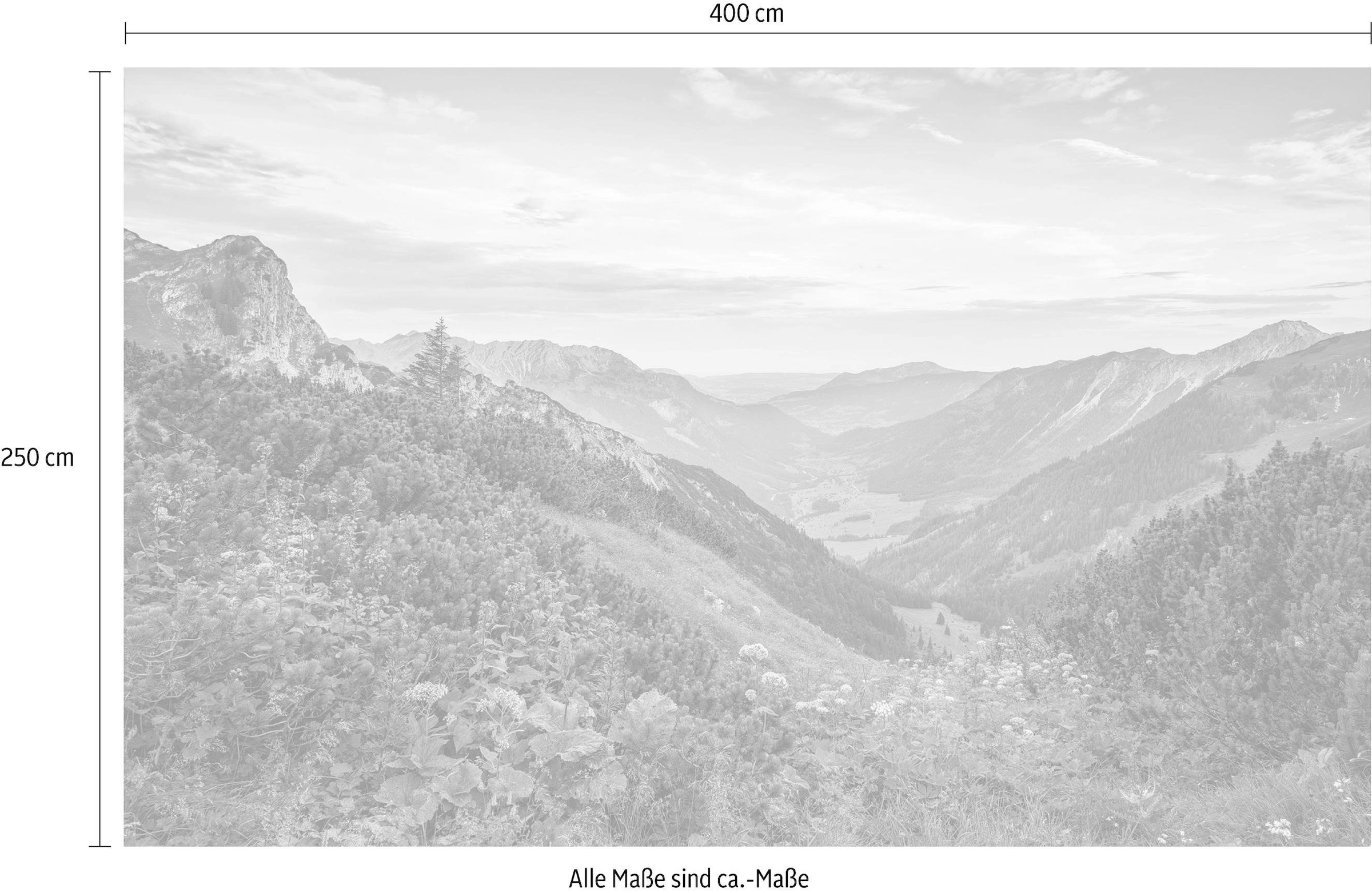 Komar Vliestapete »Digitaldruck Vlies - Alps - Größe 400 x 250 cm«, bedruckt, Wohnzimmer, Schlafzimmer
