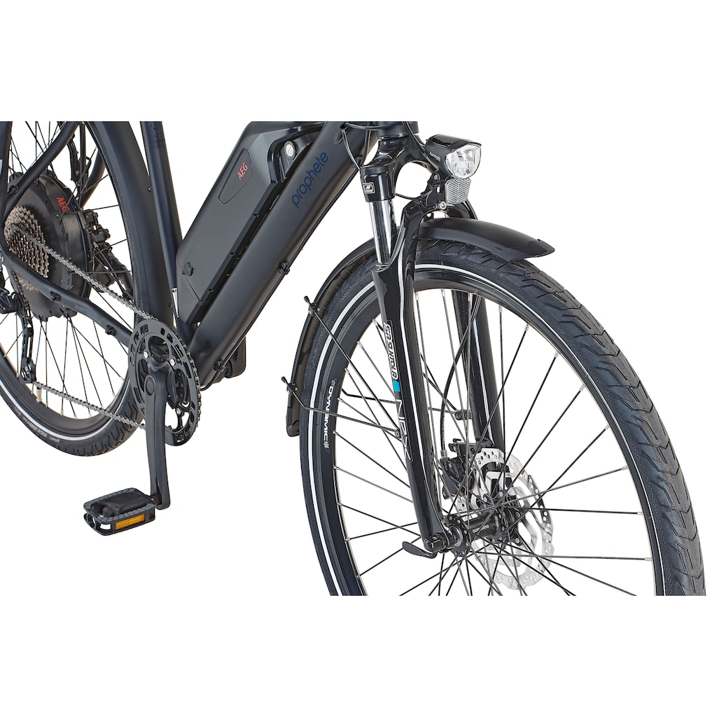 Prophete E-Bike »Prophete Entdecker e2000 Damen«, 10 Gang, Shimano, Deore XT, Heckmotor 250 W, (mit Gepäckträgertasche-mit Lenkertasche)