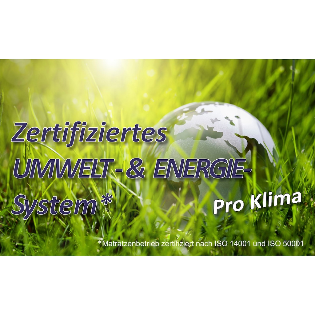 Beco Lattenrost »Universal LR-K H3«, (1 St.)