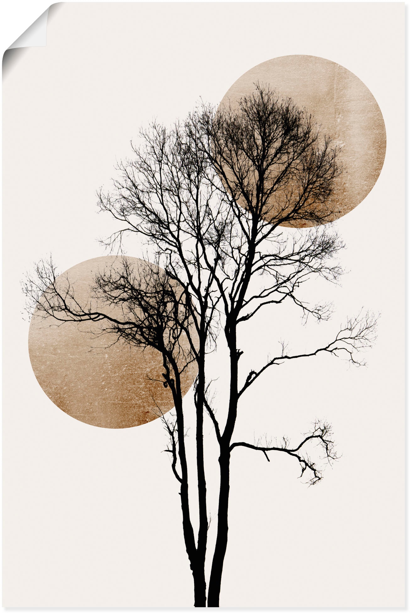 Baumbilder, (1 Poster und als Leinwandbild, St.), auf Wandbild Wandaufkleber Raten Größen bestellen versch. in Artland Mond versteckt«, Alubild, oder »Sonne