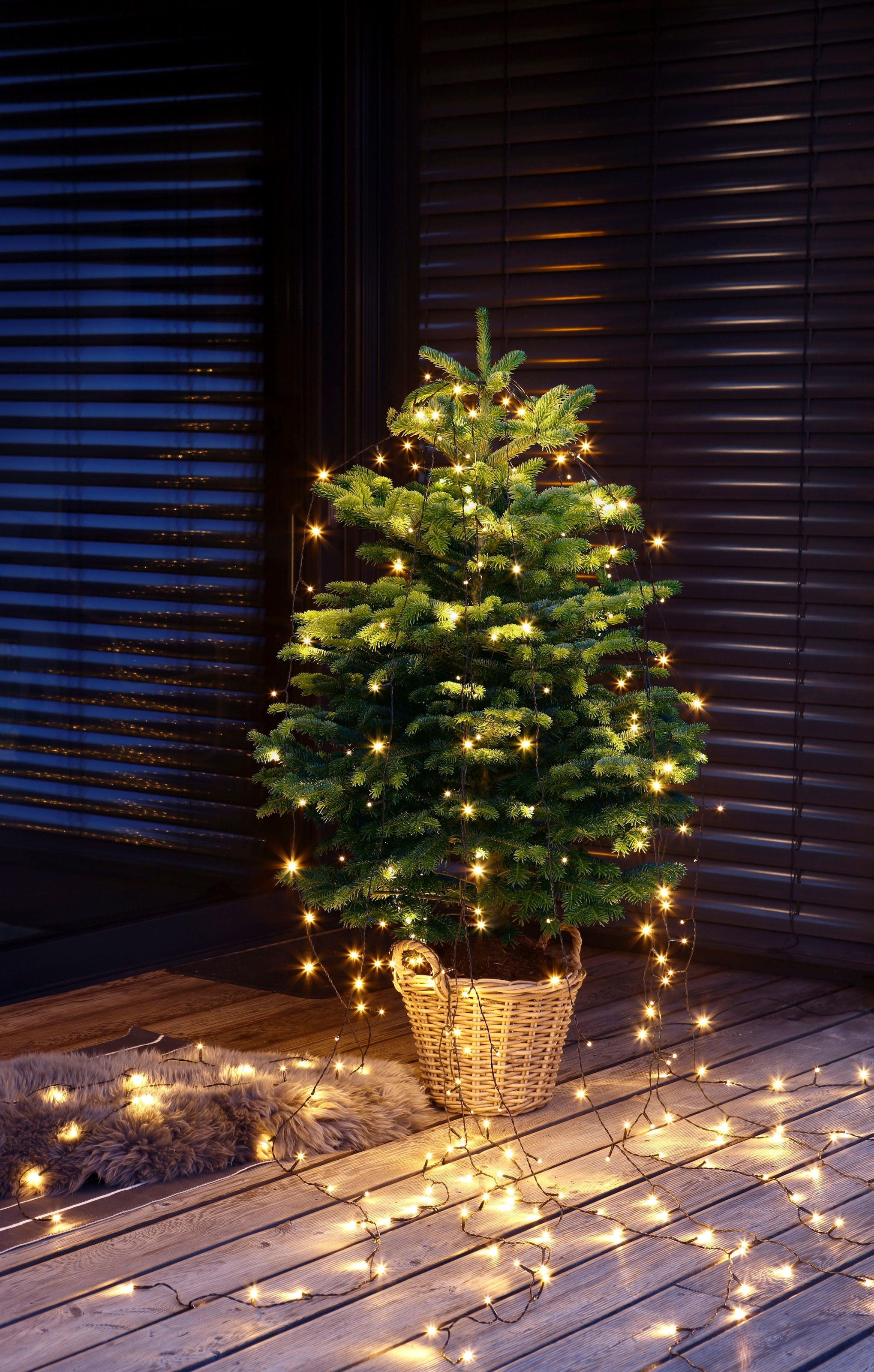Weihnachtsbaumland Echter Weihnachtsbaum »Echte Nordmanntanne zum