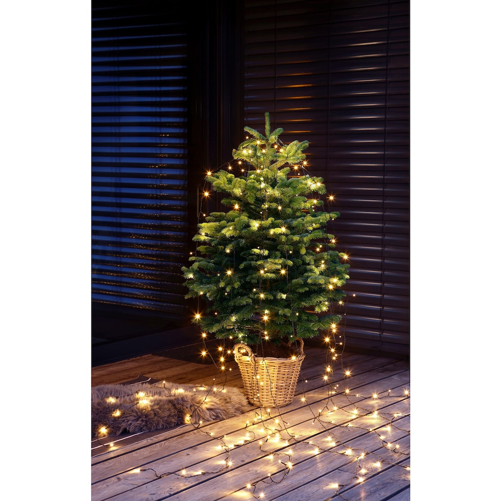 Weihnachtsbaumland Echter Weihnachtsbaum »Echte Nordmanntanne zum Einpflanzen, Weihnachtsdeko aussen«