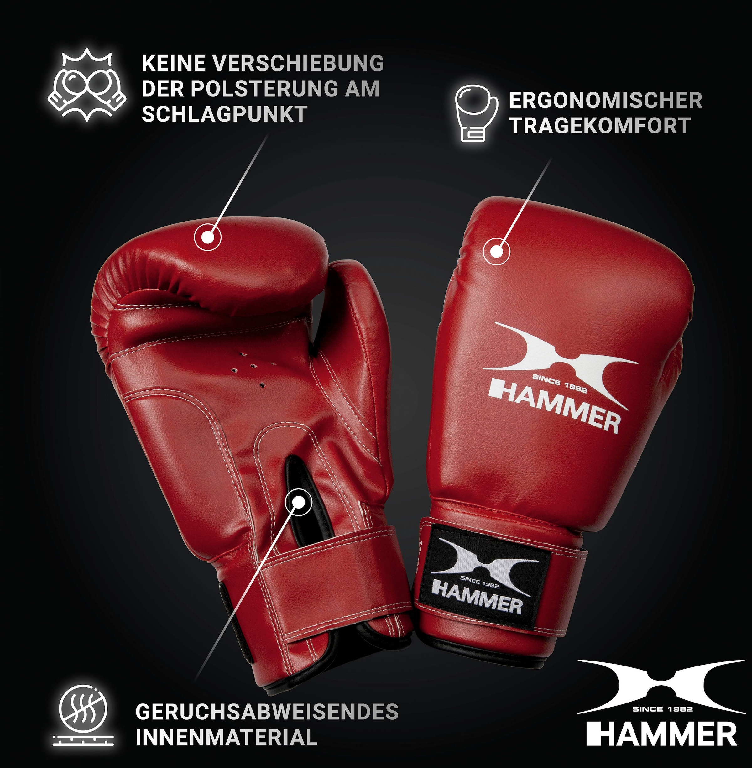 Hammer Boxsack bei Boxhandschuhen) (Set, »Fit«, mit Trainings-DVD-mit