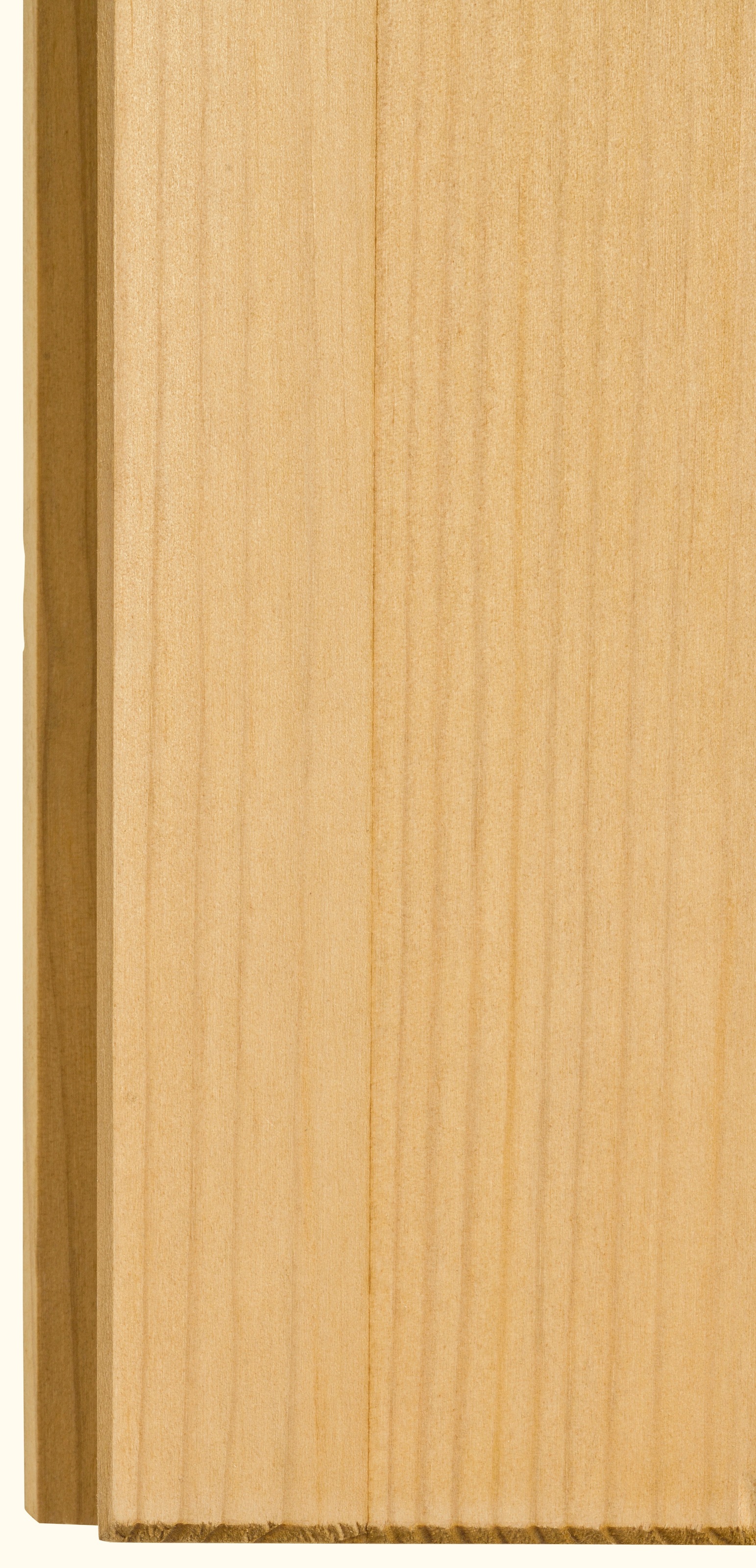 Home affaire Hängeschrank »Alby«, Breite 100 cm, 2 Türen