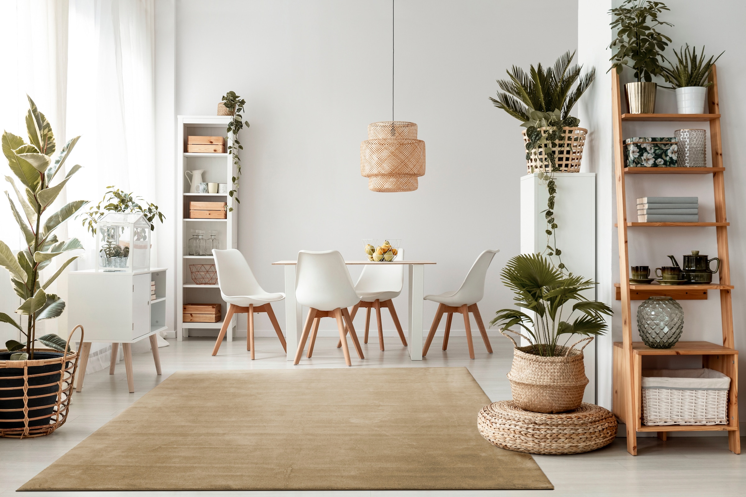 Paco Home Teppich »Cadiz 630«, rechteckig, 14 mm Höhe, Uni-Farben, besonders weich, waschbar, auch als Läufer erhältlich