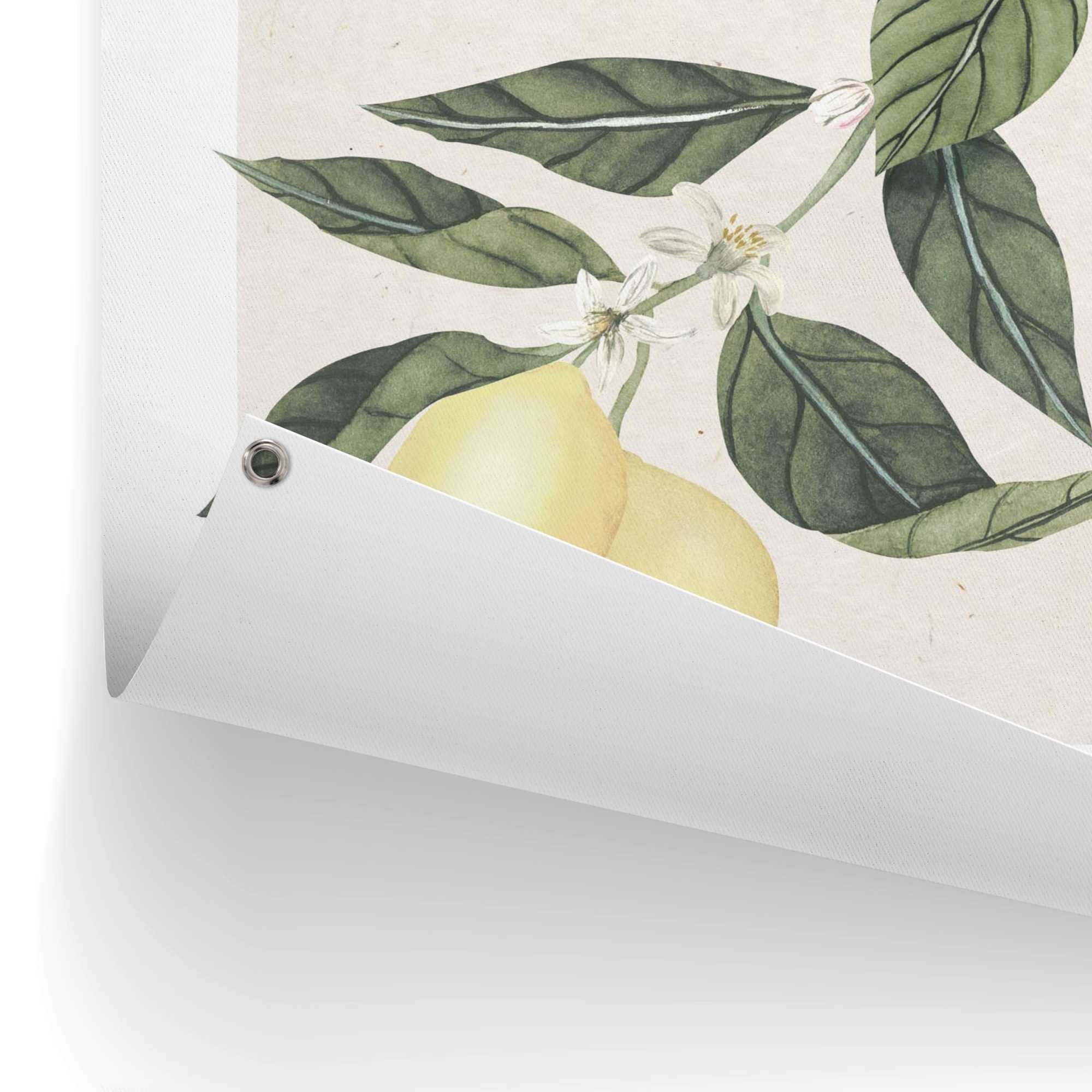 Reinders! Poster »Limoni«