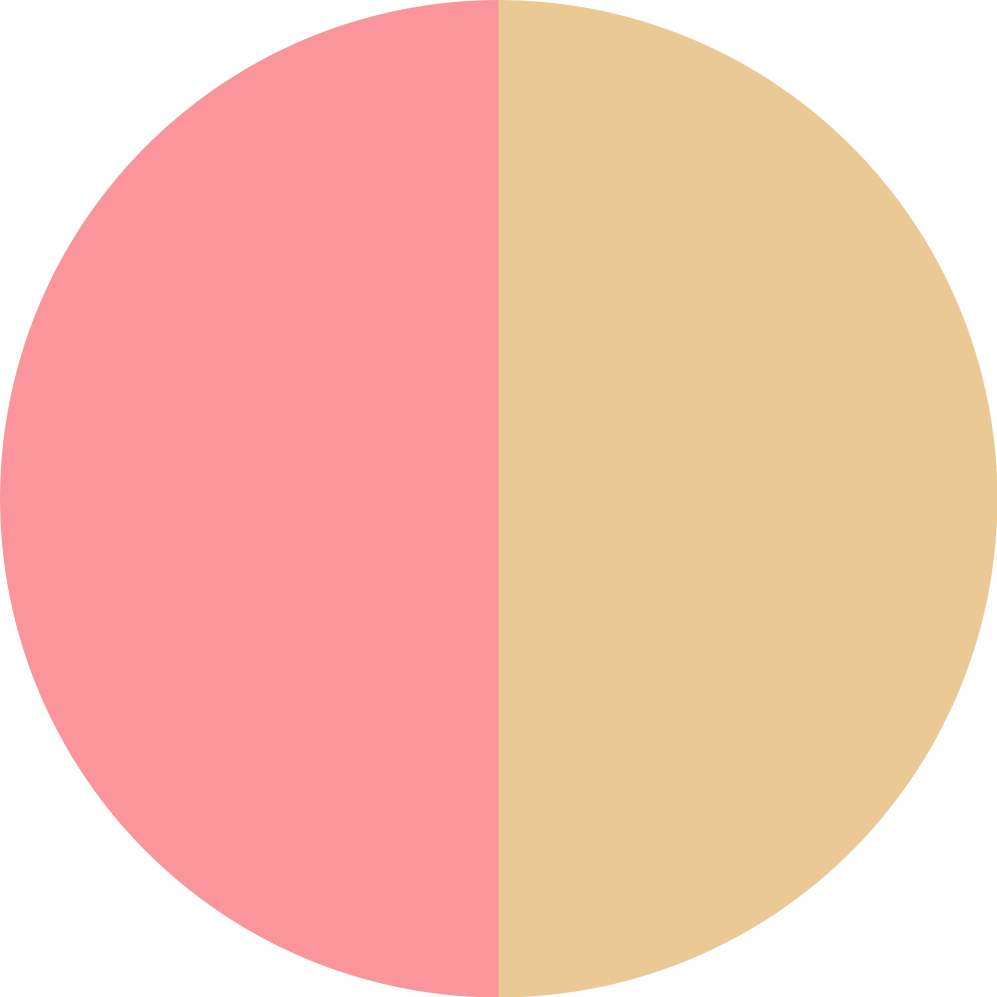 Essence Rouge »Ciao! blushlighter«