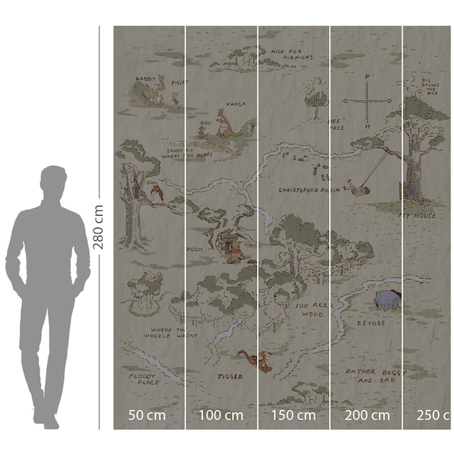 the Garantie Pooh 3 cm x Komar Map«, | mit online kaufen 200x240 Jahren Höhe) »Winnie Vliestapete XXL (Breite