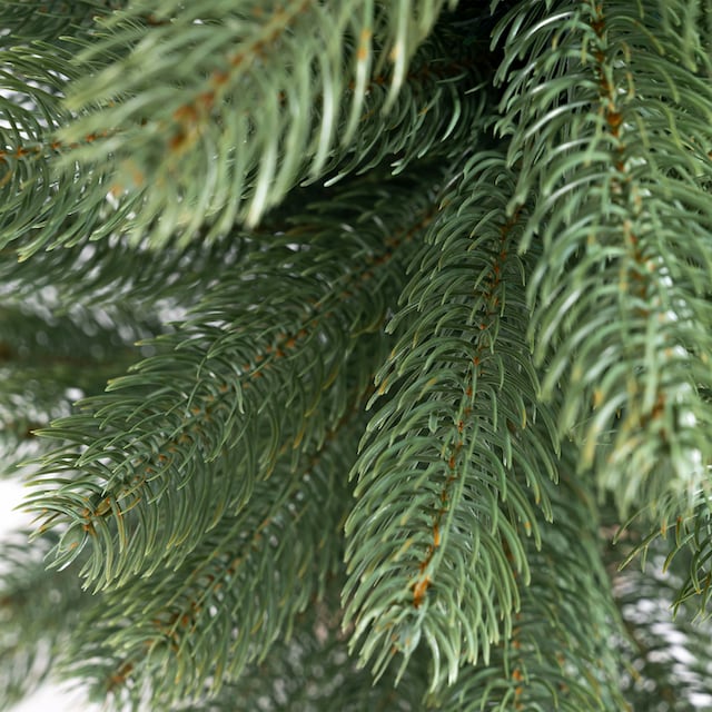 Winterworld Betonfuß Weihnachtsbaum »Tannenbaum, bequem um Christbaum«, online Künstlicher den Nordmanntanne, mit Weihnachtsdeko künstlicher IC Jutebeutel kaufen