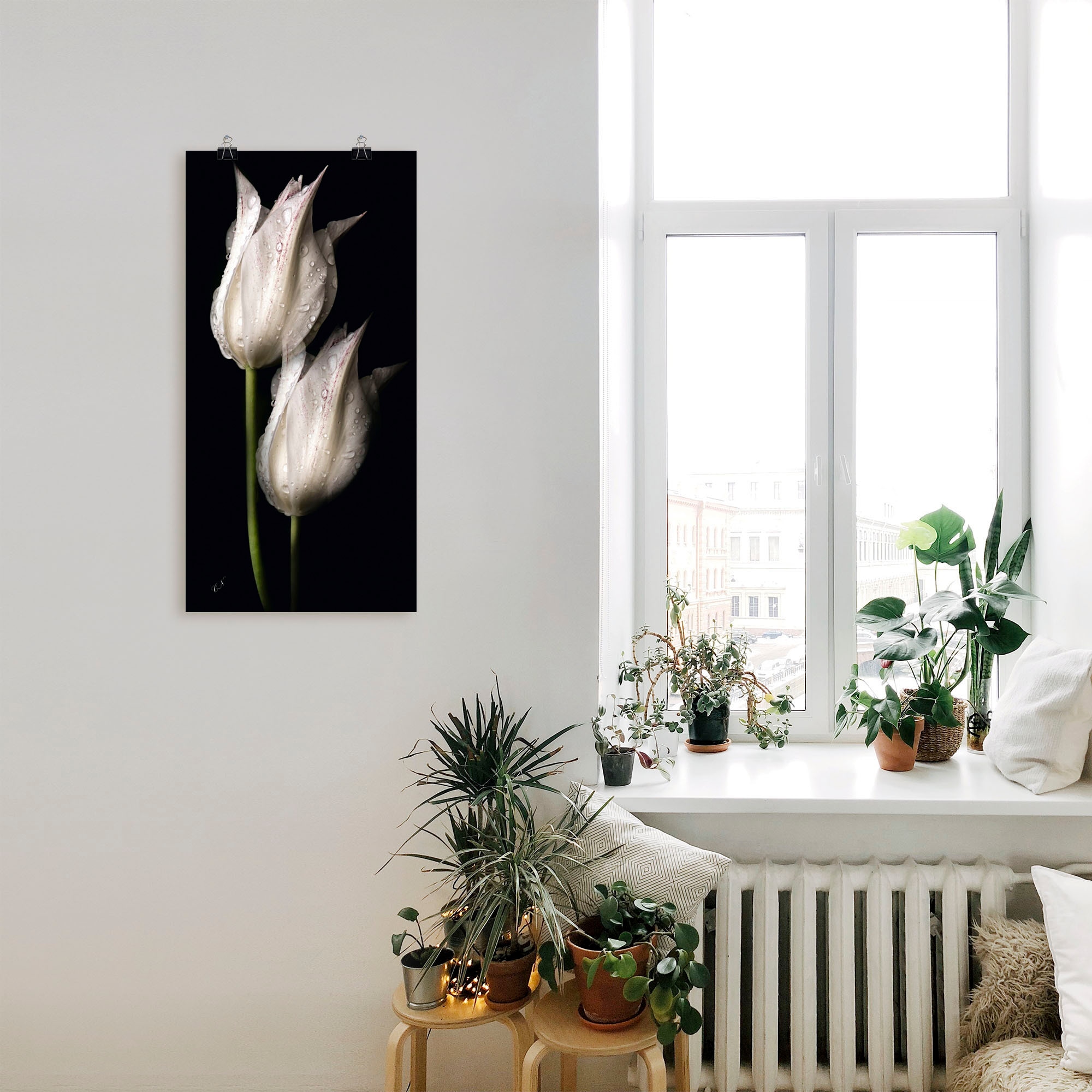 Artland Wandbild »Weiße Tulpen in Rechnung Alubild, St.), oder (1 der in Wandaufkleber Poster als kaufen Blumenbilder, versch. auf Größen Nacht«, Leinwandbild