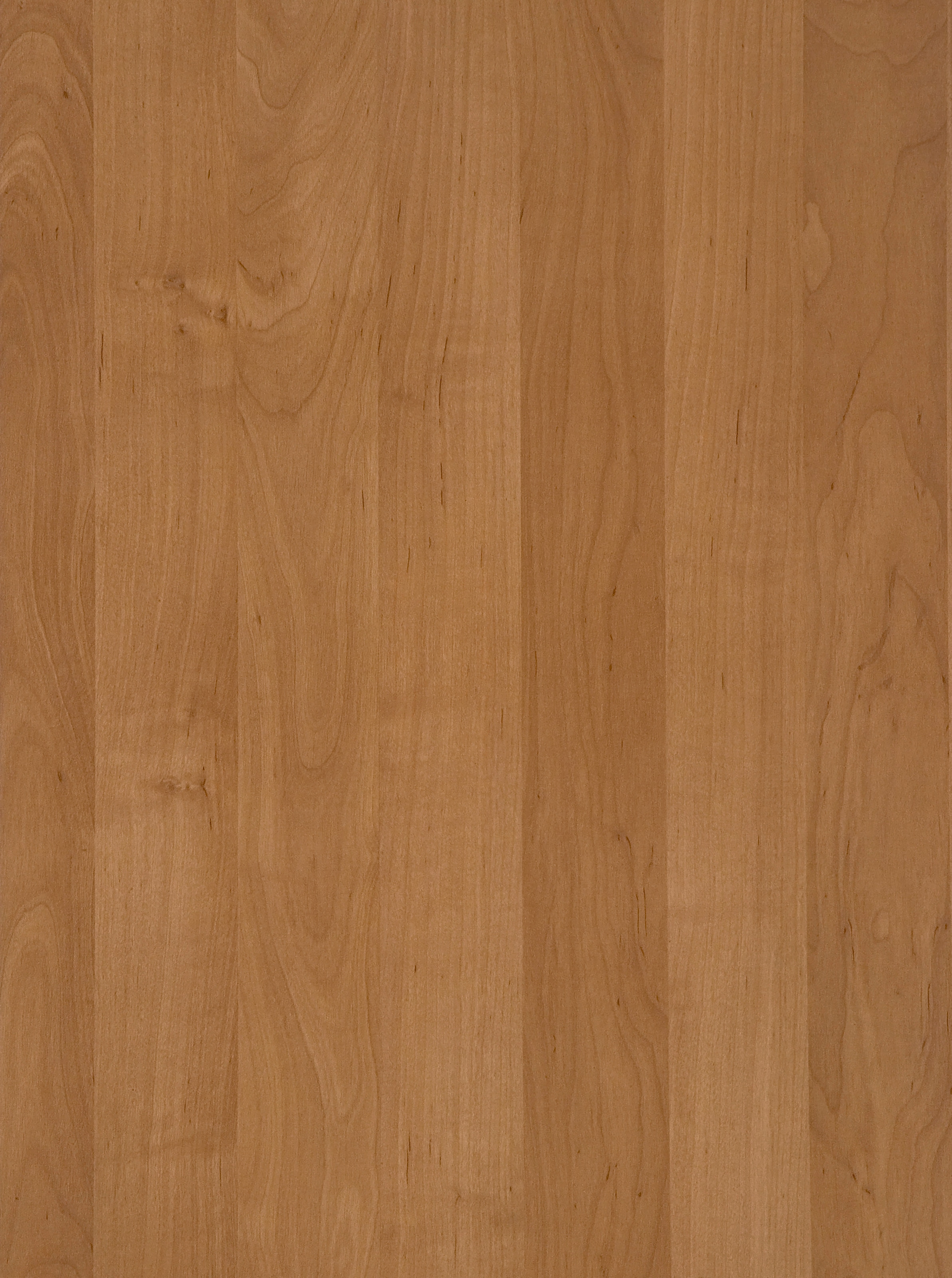 WIEMANN Drehtürenschrank »Cordoba« inkl. Türendämpfung