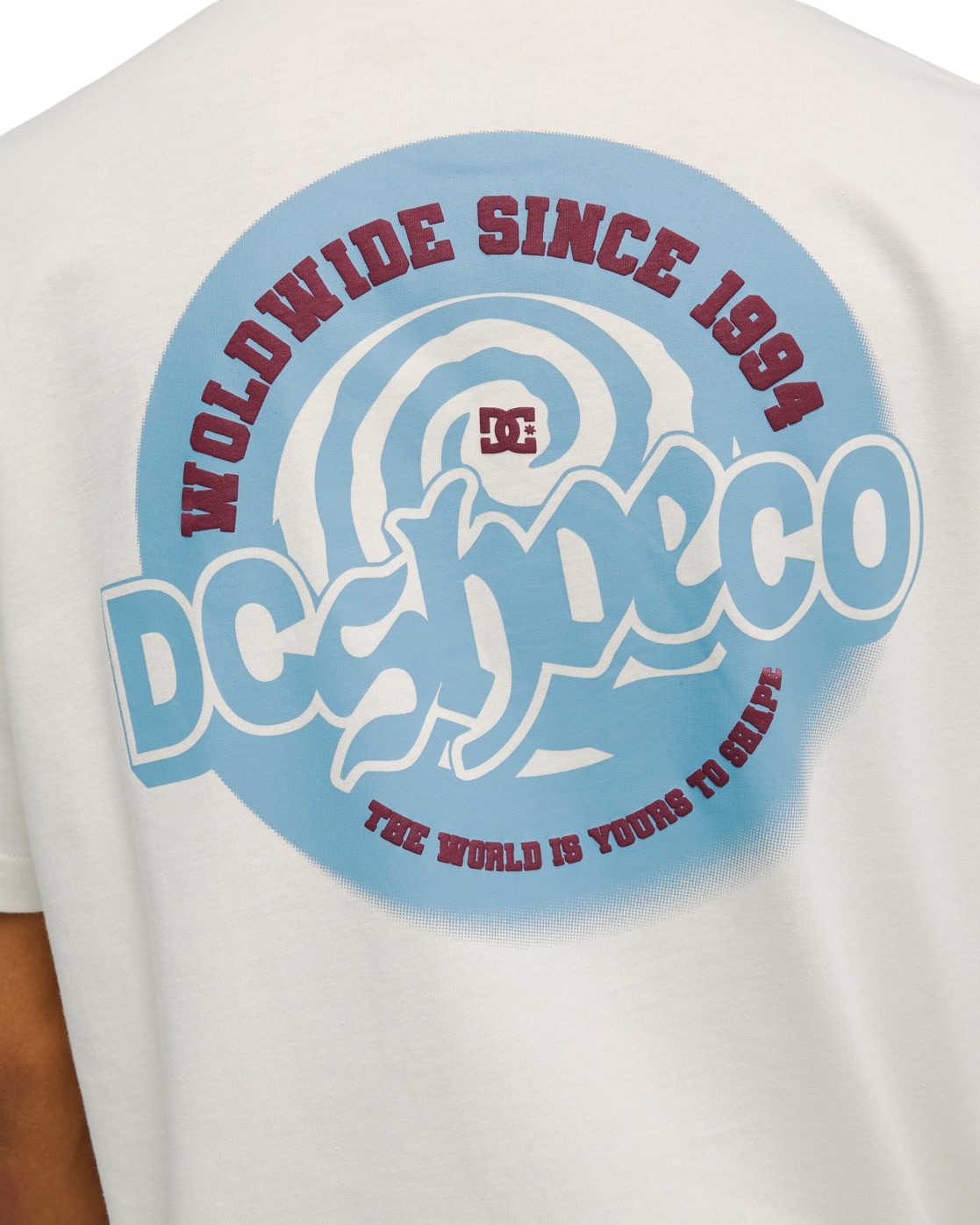DC Shoes T-Shirt »Eye Of The Storm«