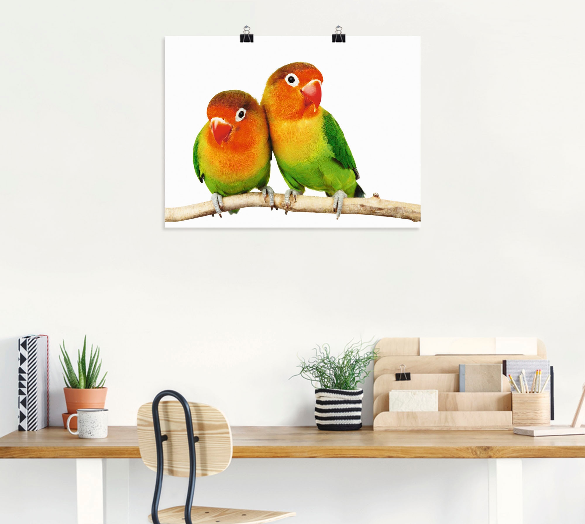 Artland Wandbild »Paar von Grauköpfchen - Papageien« Vögel 1 Stk. tlg. als Leinwandbild, Poster in verschied. Größen