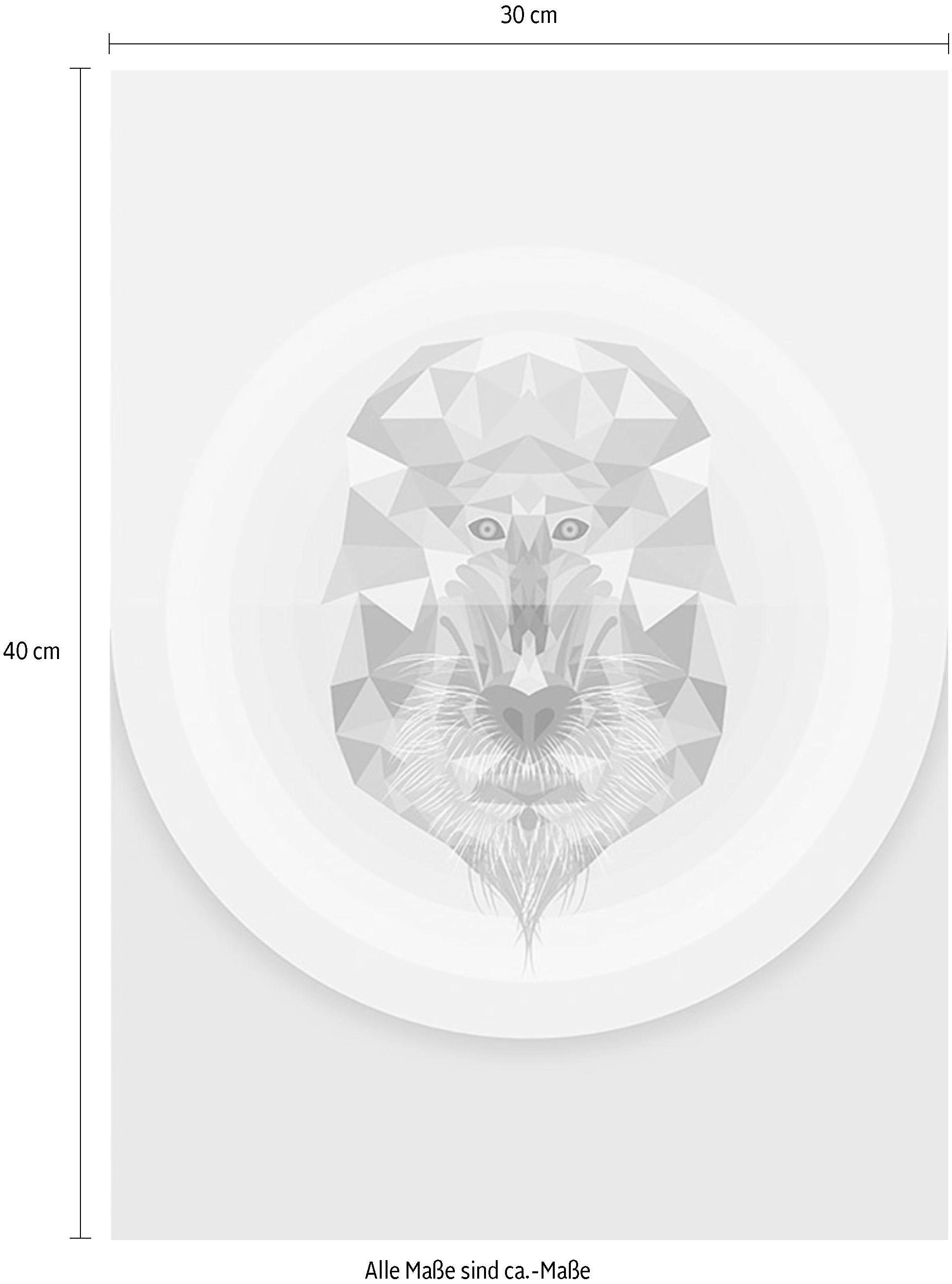 Komar Bild »Baboon« Tiere 1 Stk. tlg. Wandbild zur Dekoration - ohne Rahmen