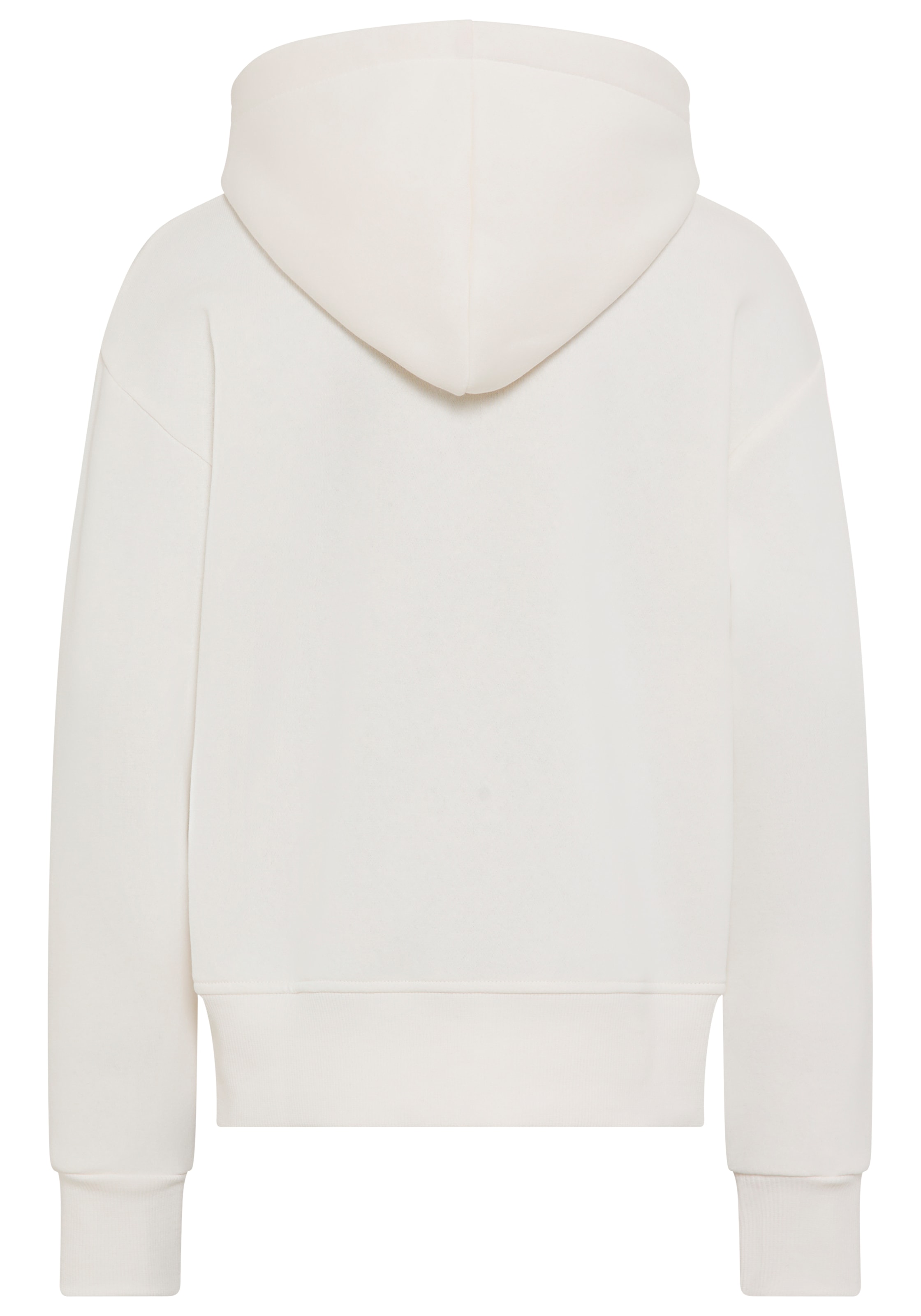 Levi's® Kids Kapuzensweatshirt »LVG BATWING PATCH HOODIE«, mit Daumenloch
