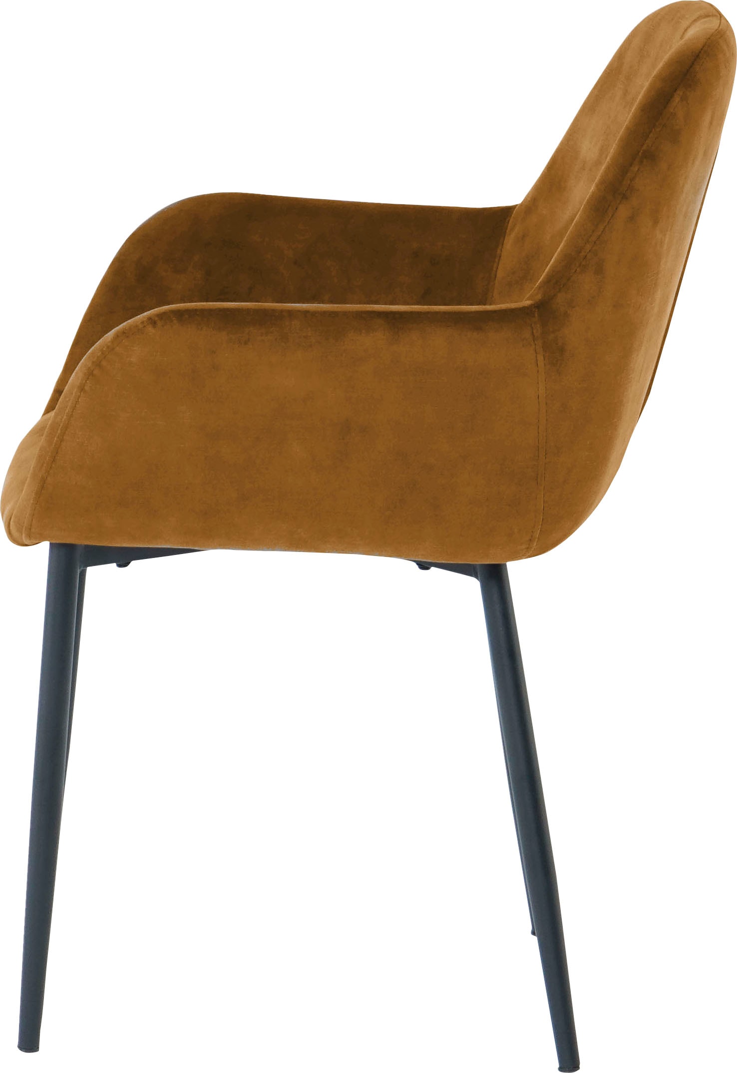 SIT Armlehnstuhl, (Set), 2 St., Samt, glamouröser Bezug in Samtoptik