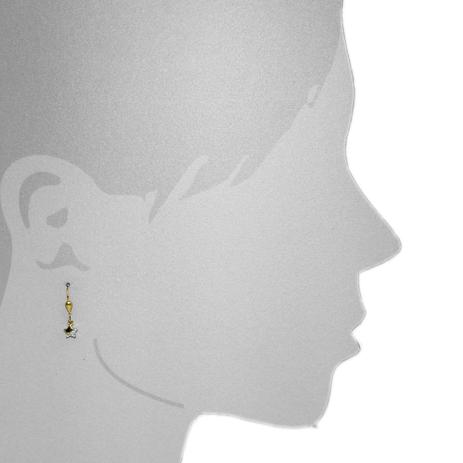 OSTSEE-SCHMUCK Paar Ohrhänger »- Stern - Gold 333/000 - Zirkonia«