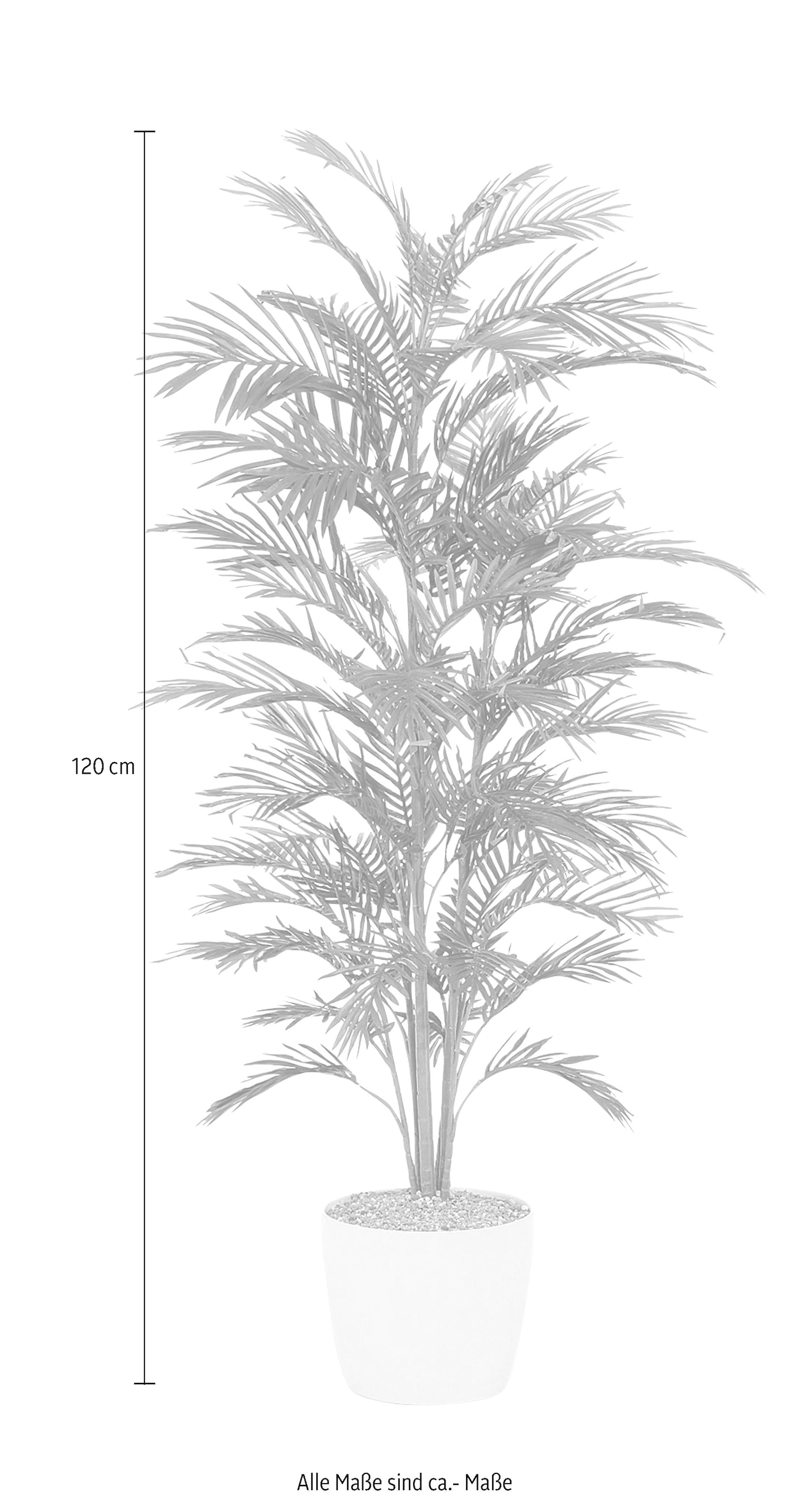 Creativ green Kunstpalme »Palme«
