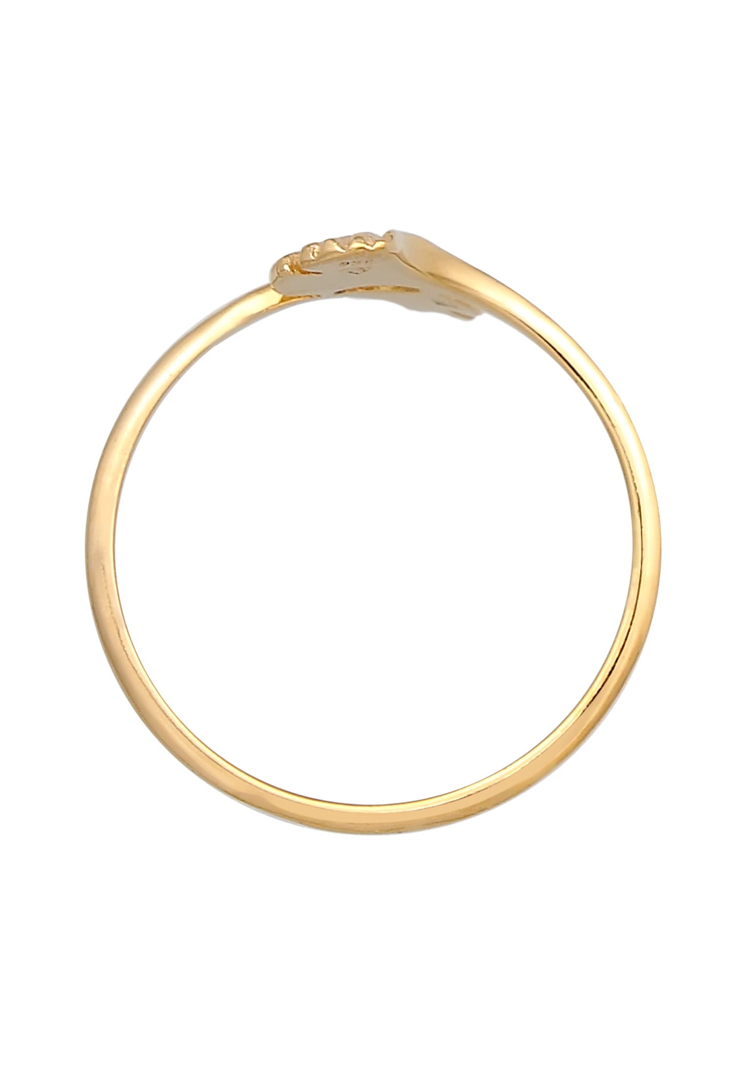Elli Premium Silberring »Ring Offen Verstellbar Ginkgo Blatt Natur 375 Gelbgold«