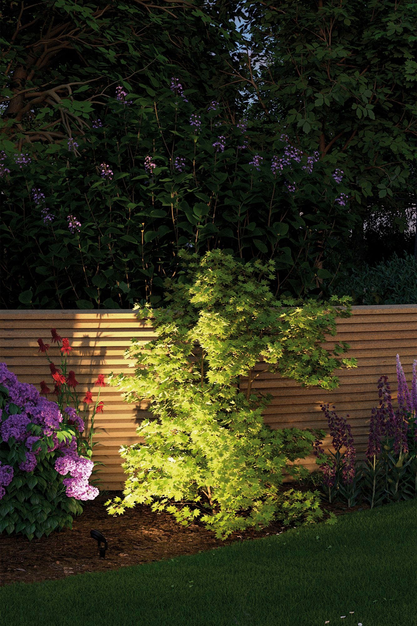 Paulmann LED Gartenstrahler »Plug & Shine«, 1 flammig, Leuchtmittel LED-Modul | LED fest integriert, LED-Modul, IP67 3000K 24V Anthrazit