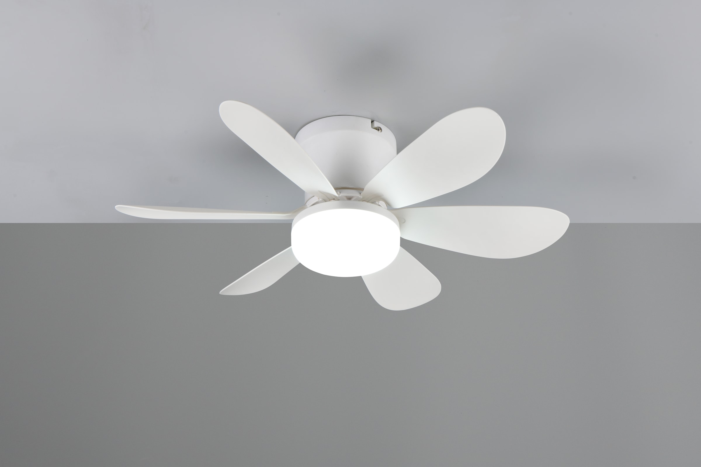REALITY Leuchten LED Deckenleuchte »LUND mit Ventilator, Deckenventilator mit Licht inkl Fernbedienung« LED-Board 1 Stk. warmweiß - kaltweiß 3 Geschwindigkeiten Timer Vor- & Rücklauf LED dimmbar CCT Nachtlicht