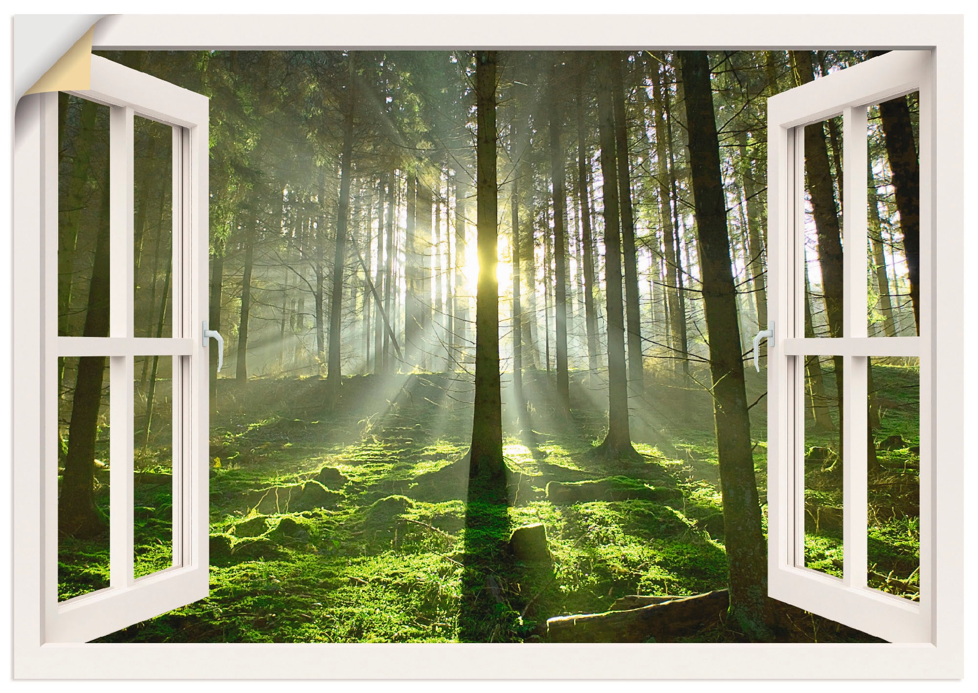 Artland Wandbild »Fensterblick - Wald im Gegenlicht«, Fensterblick, (1 St.),  als Leinwandbild, Wandaufkleber oder Poster in versch. Größen bequem kaufen