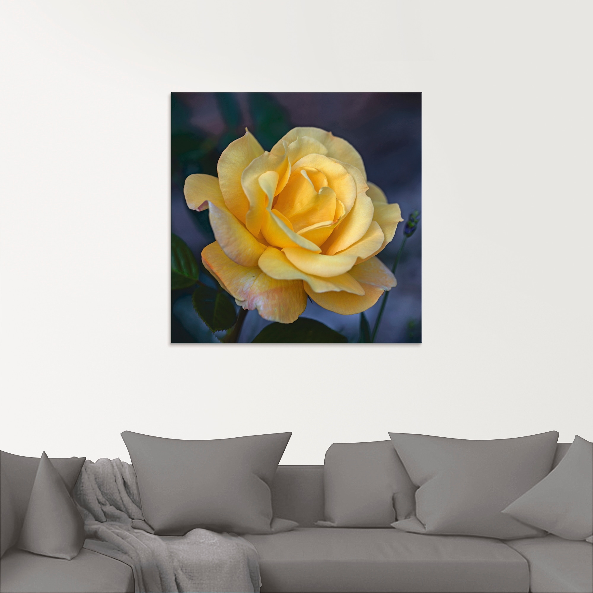Artland Glasbild bequem verschiedenen Rose«, Größen in bestellen (1 »Gelbe St.), Blumen