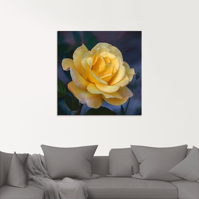 Artland Glasbild »Gelbe Rose«, Blumen, (1 St.), in verschiedenen Größen  bequem bestellen
