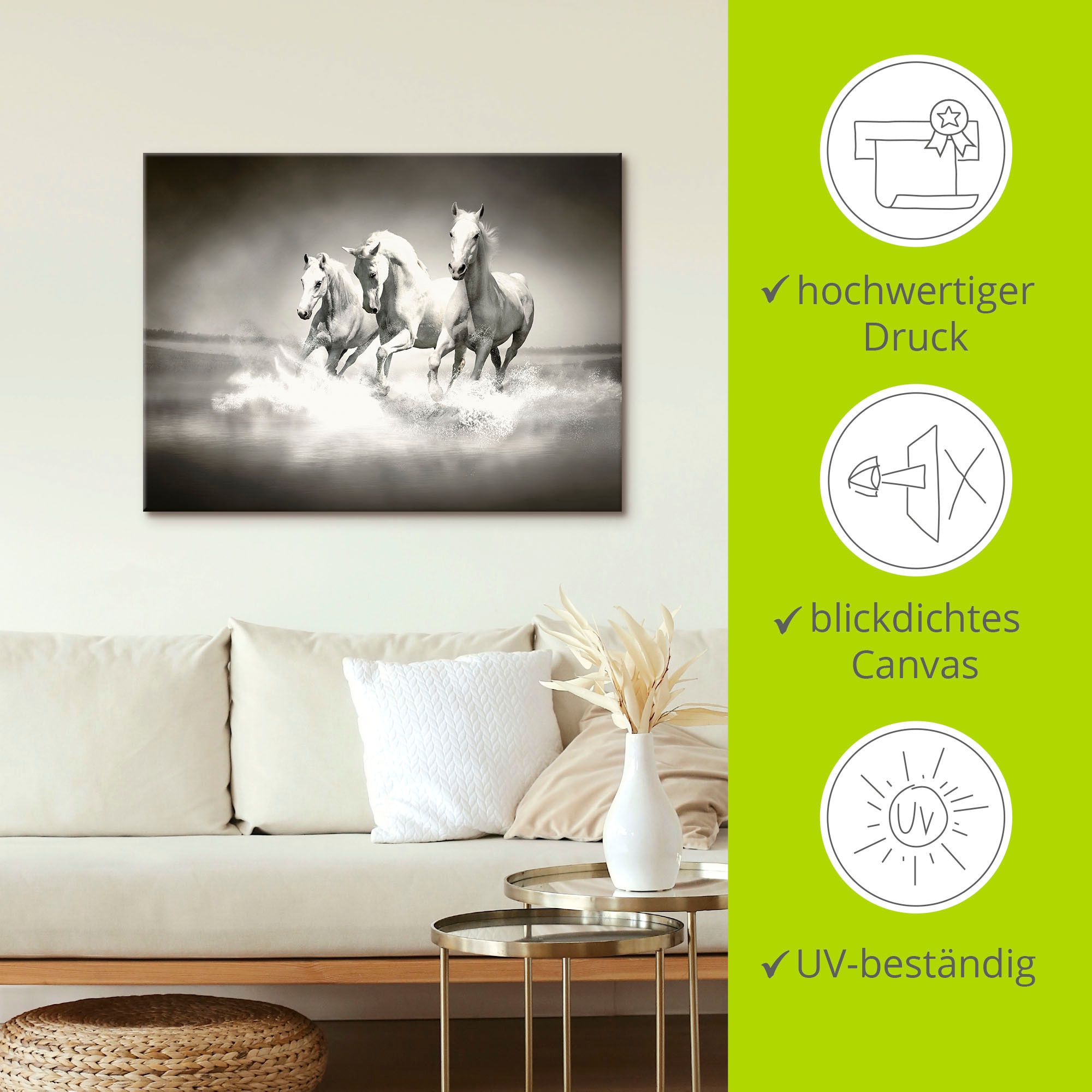 Artland Leinwandbild »Herde von weißen Pferden« Haustiere 1 Stk. tlg. auf Holzrahmen gespannt