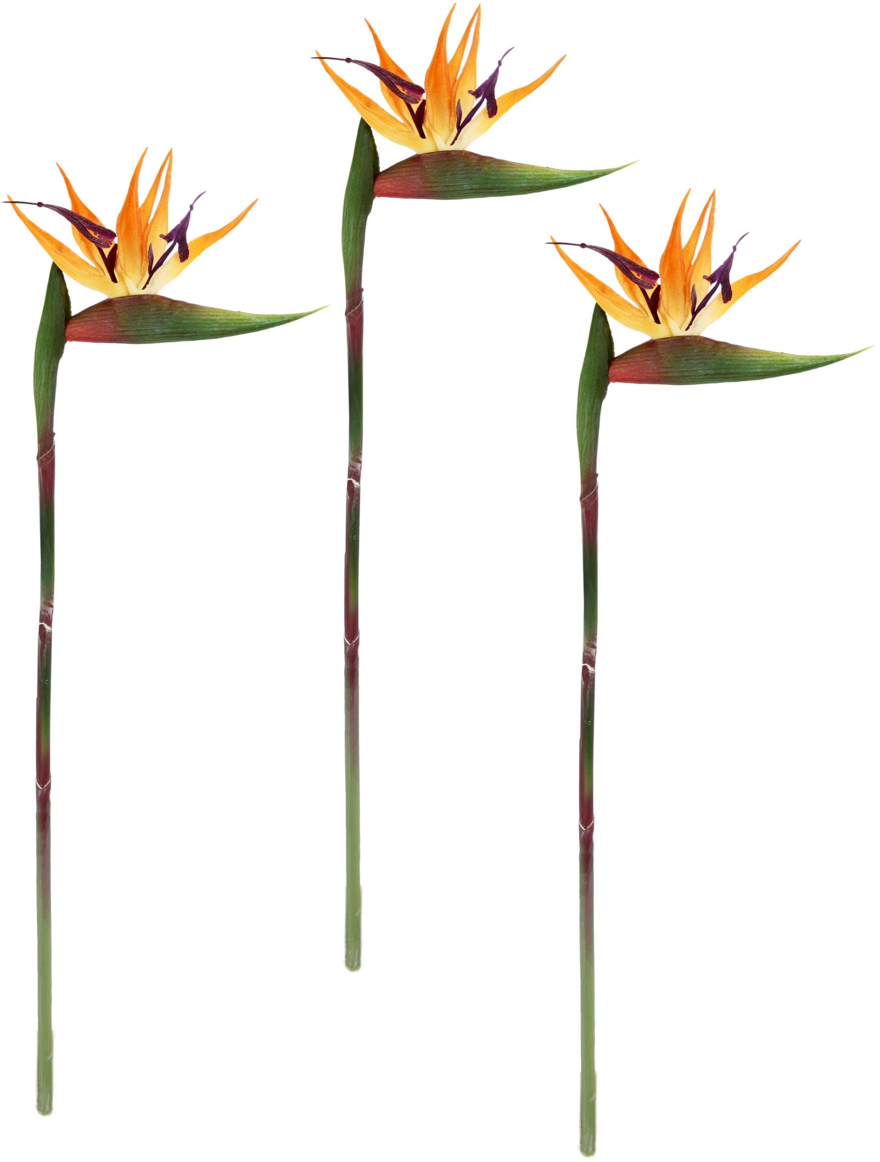 I.GE.A. Kunstblume »Künstliche Blume Strelitzie Paradiesvogelblume  Exotischer Dekozweig«, Zweig Einzelblume Dekoblume Stielblume Hochzeit  Dekoration auf Raten kaufen
