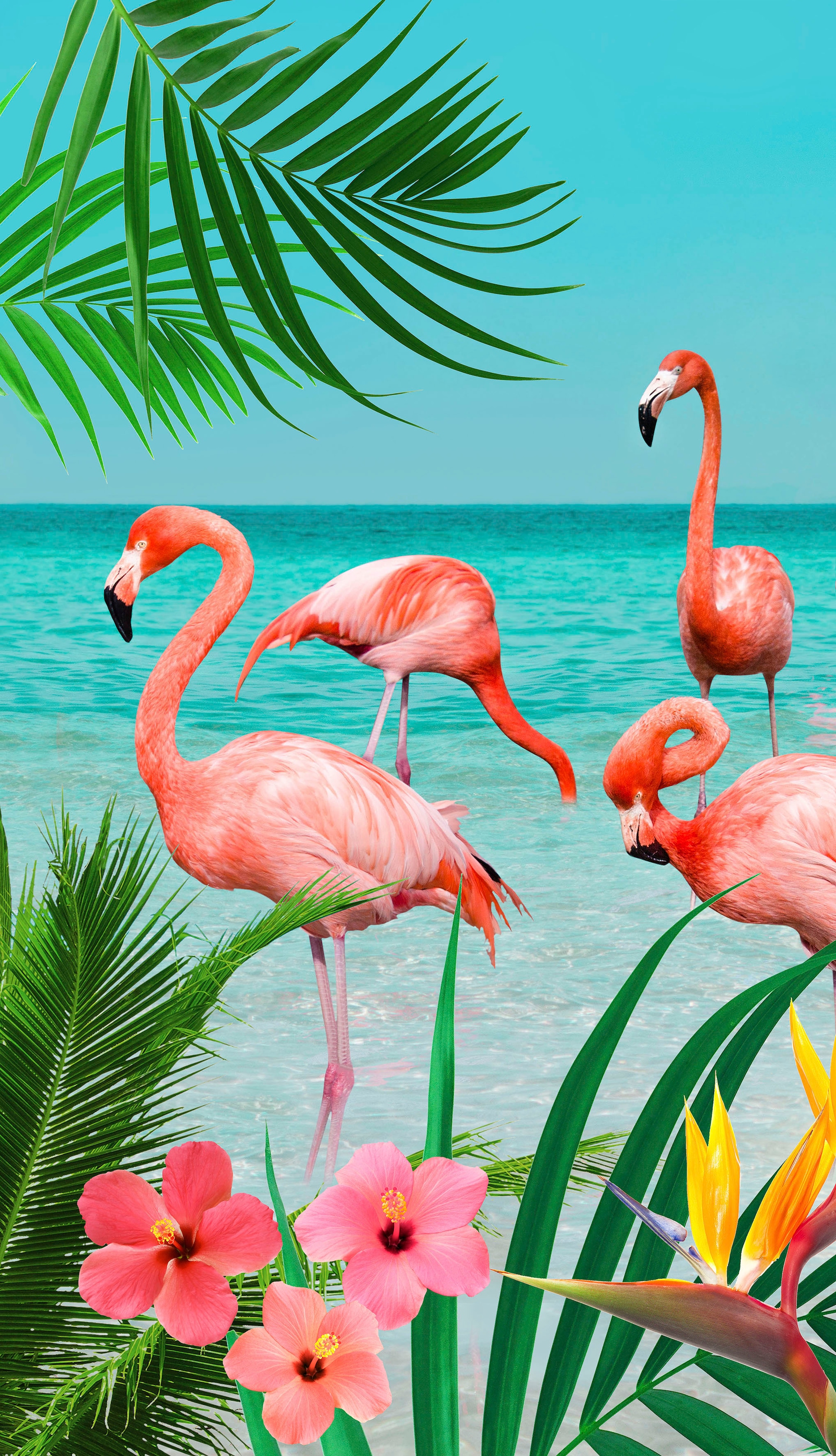 (1 good bei Flamingos mit Strandtuch »Flamingo«, St.), morning