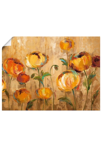 Artland Wandbild »Freudige Ranunkel«, Blumen, (1 St.), in vielen Größen & Produktarten... kaufen