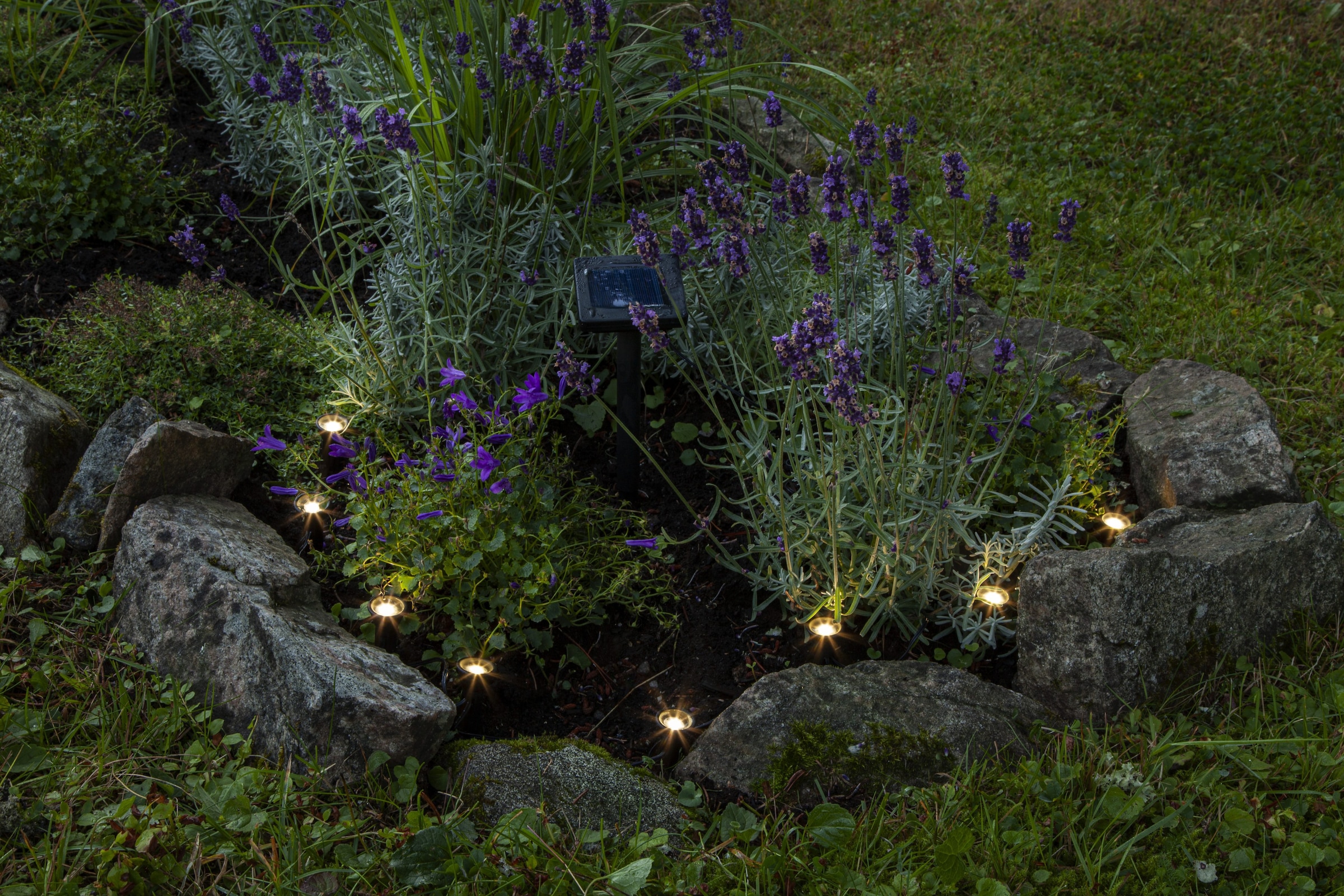 Parforce Traditional Hunting LED-Lichterkette »Mini spot - 8 L« 8 Stk.-flammig kleine Spots, ca. 210 cm Länge, Akku, outdoor,
Vierfarb-Karton