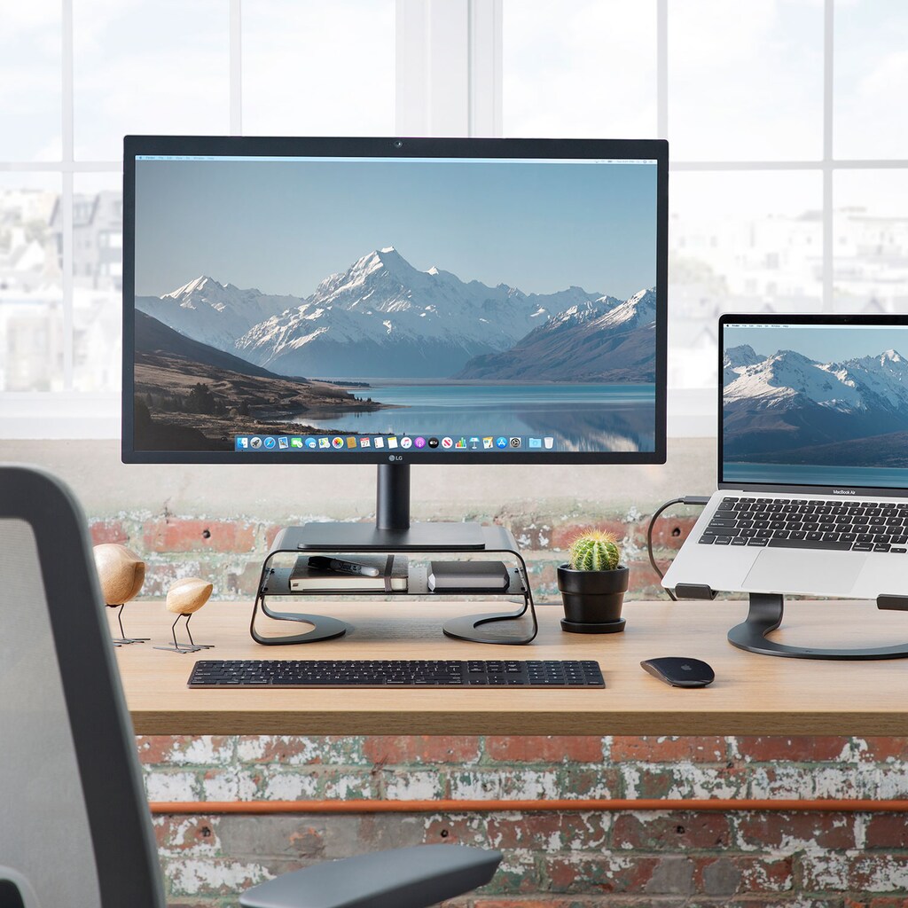Twelve South Monitorständer »Curve Riser für iMac und Displays«