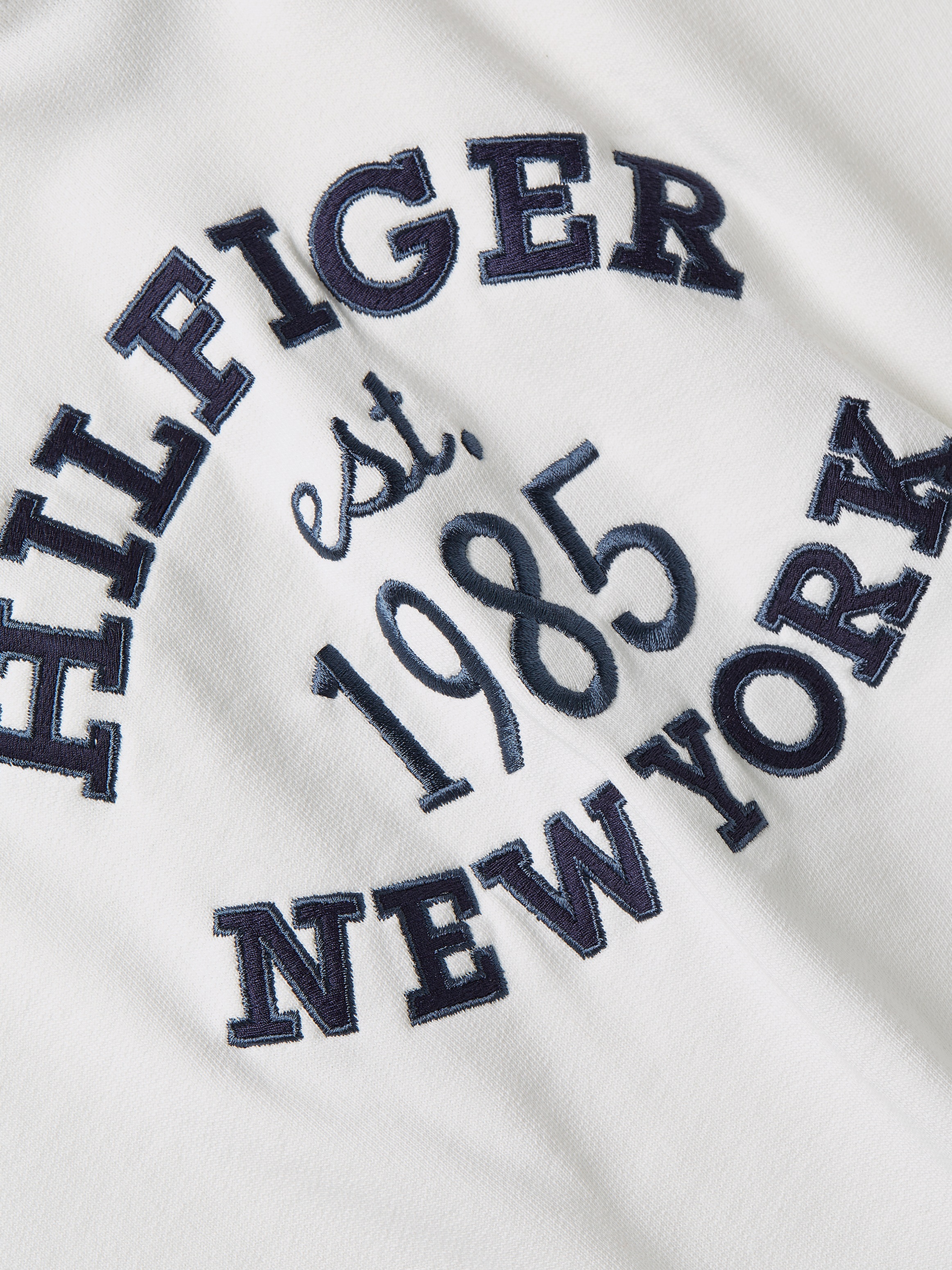 Tommy Hilfiger Kapuzensweatshirt »MDRN REG VARSITY HOODIE«, mit Kapuze