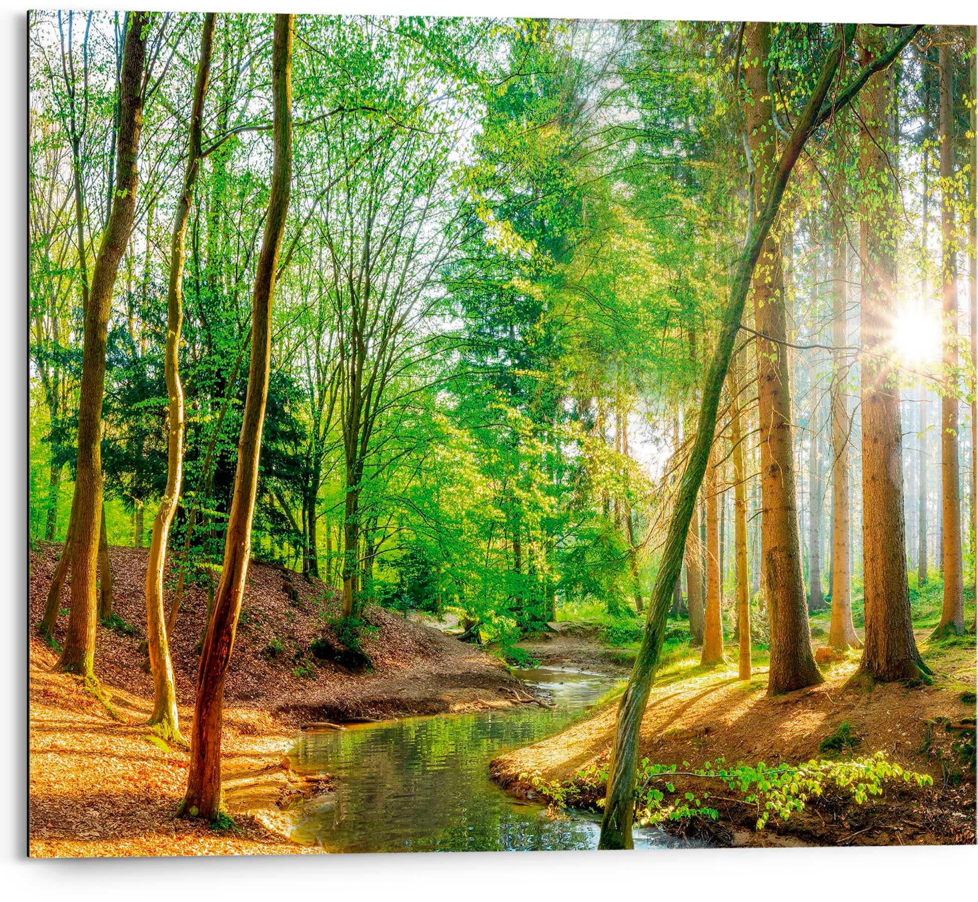 Reinders! Deco-Panel »Sonniger Wald« auf Raten bestellen | Kunstdrucke