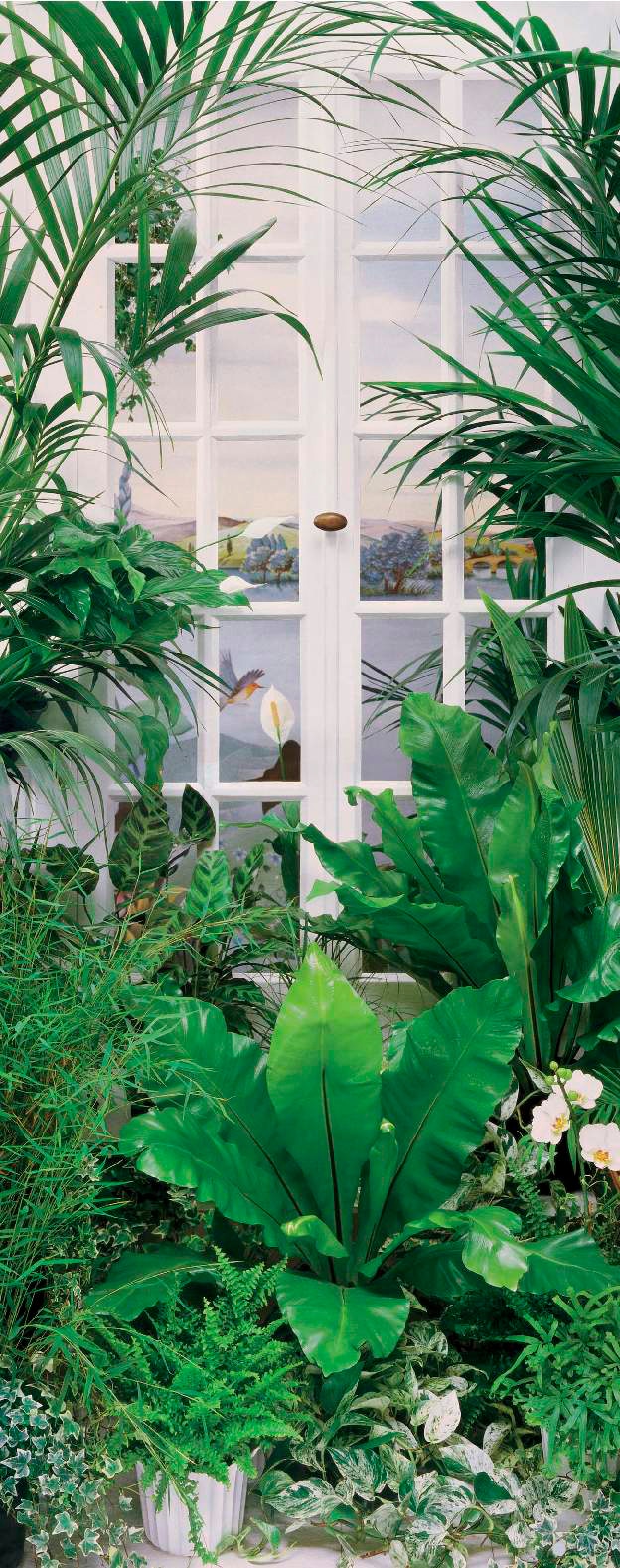 Papermoon Fototapete »Flower Window - Türtapete«, matt