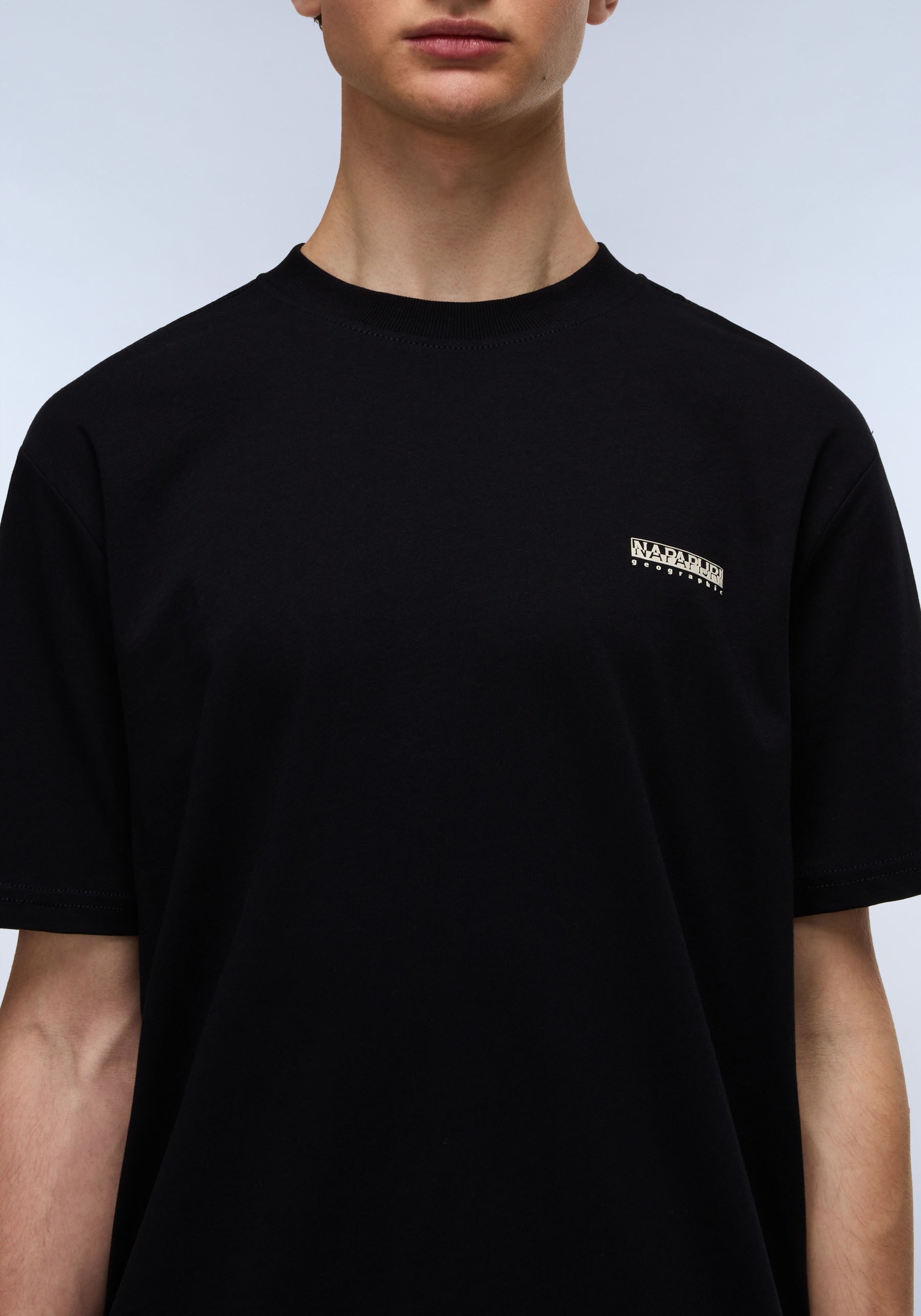 Napapijri T-Shirt »S-SMALL BOX«