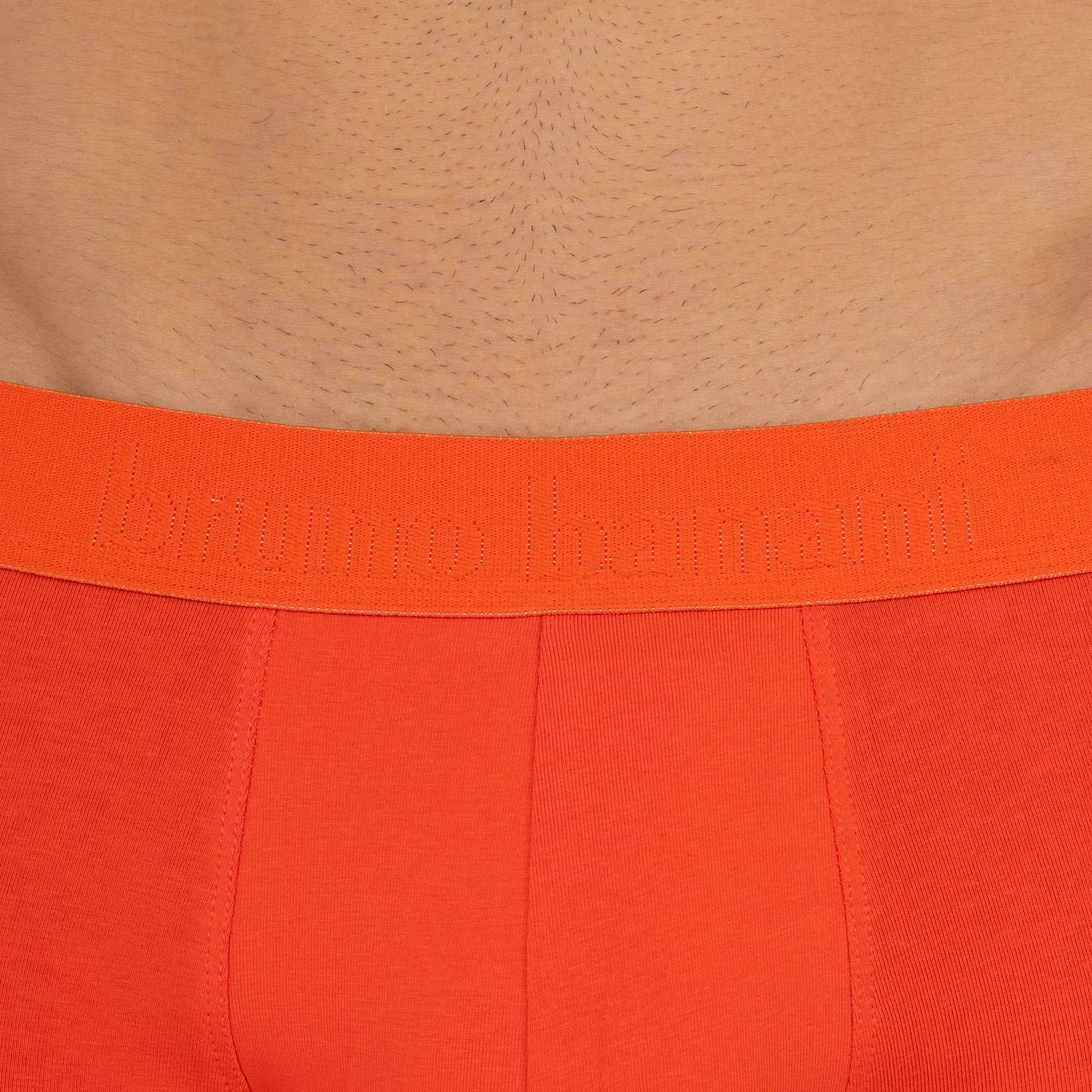 Bruno Banani Boxershorts »FLOWING«, (2er Pack), mit kontrastfarbenem Bündchen