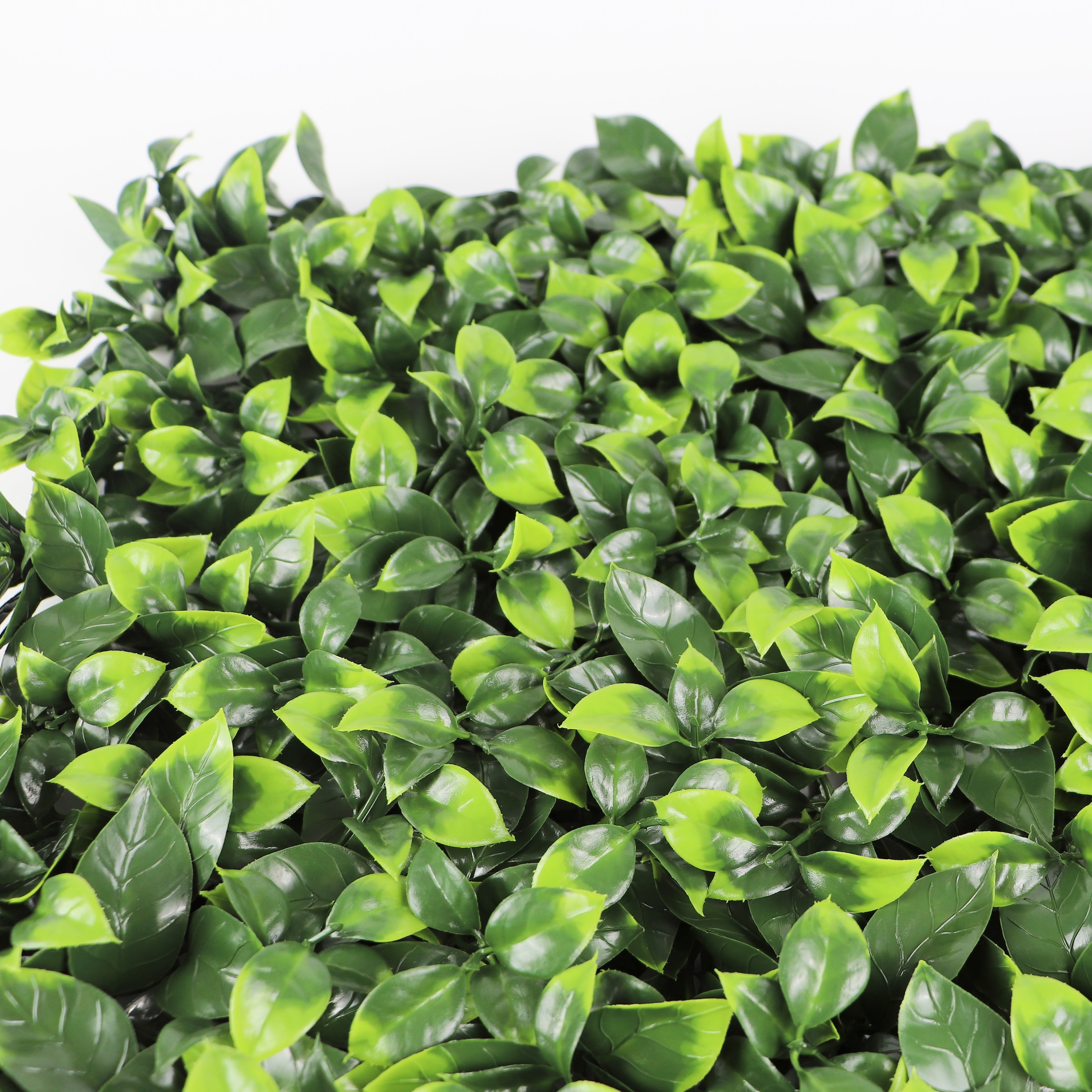 Primaflor-Ideen in Textil Kunstpflanze »Pflanzenwand, 50x50cm« Wanddeko, realistische Optik, In- und Outdoor geeignet, UV-beständig