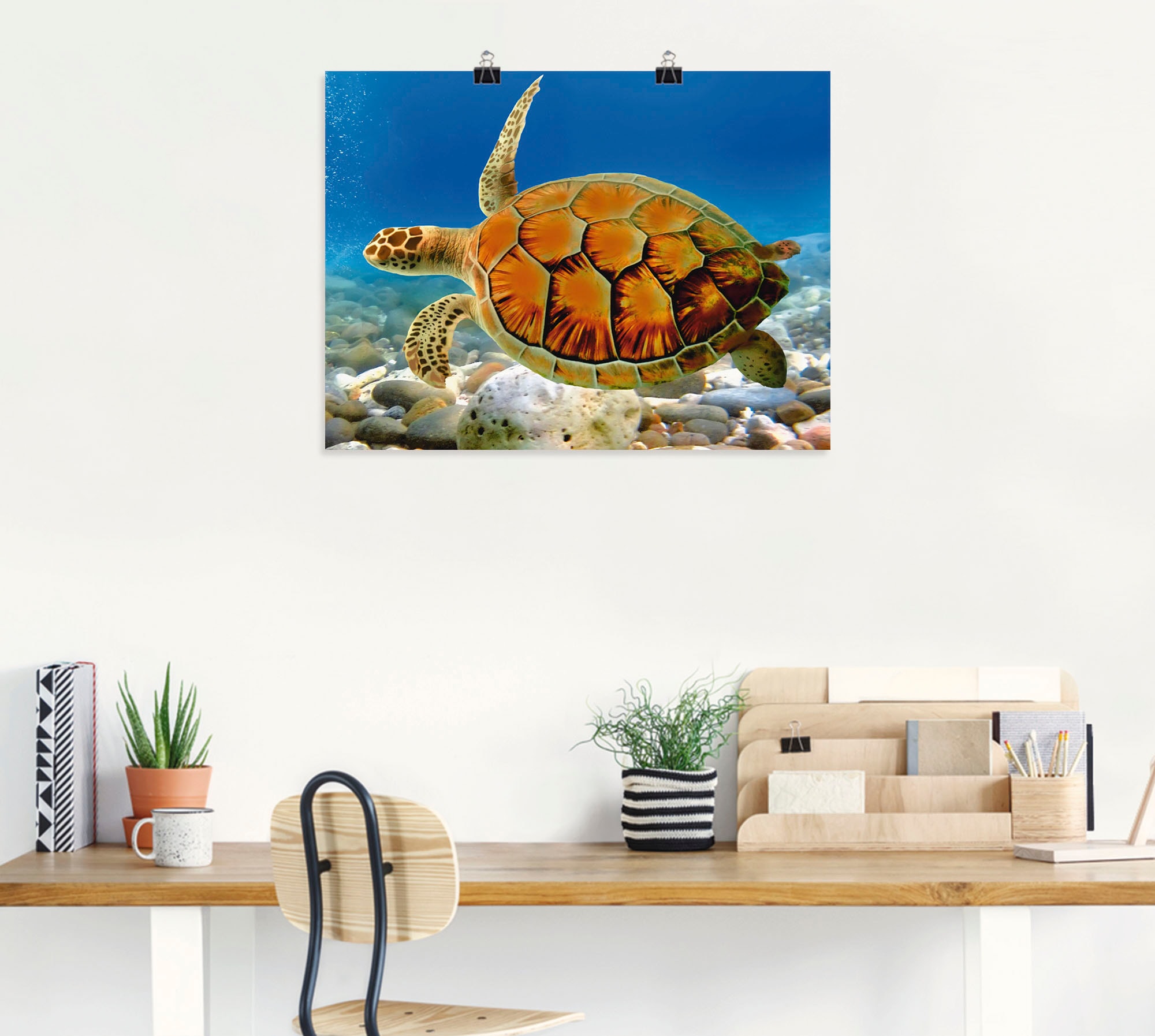Artland Wandbild »Schildkröte«, Wassertiere, (1 St.), als Leinwandbild, Poster, Wandaufkleber in verschied. Größen