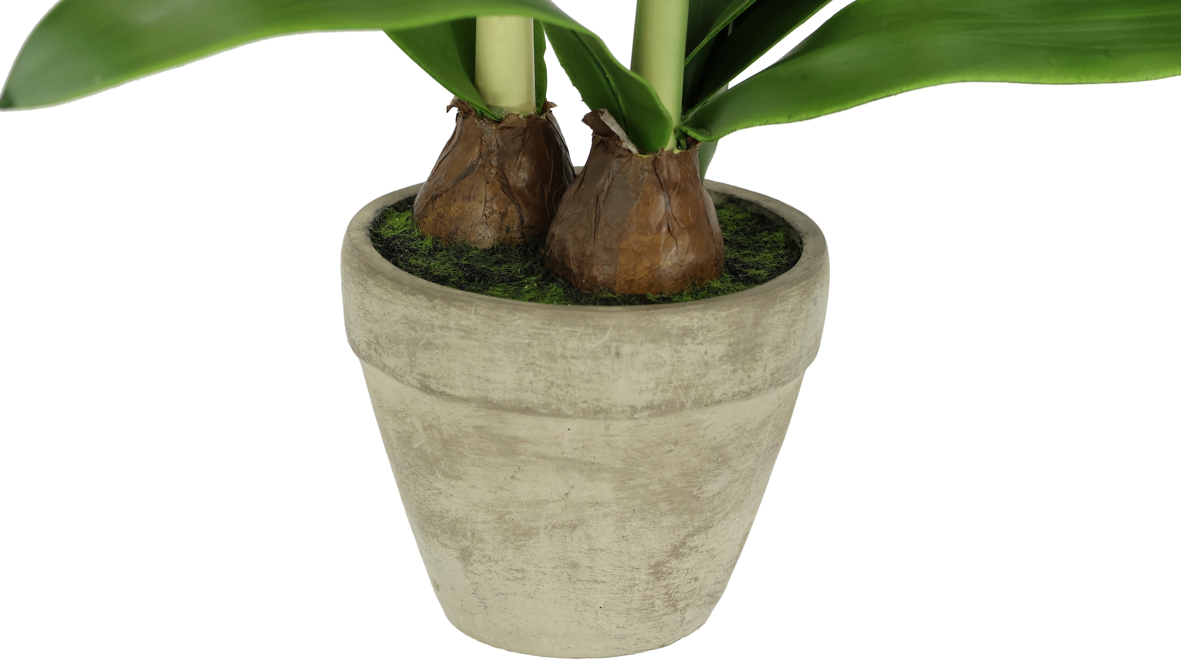 I.GE.A. Kunstblume »Amaryllis im Topf«, 50cm Blume Weihnachtsblume Weihnachtsdeko Winterblume Floristik
