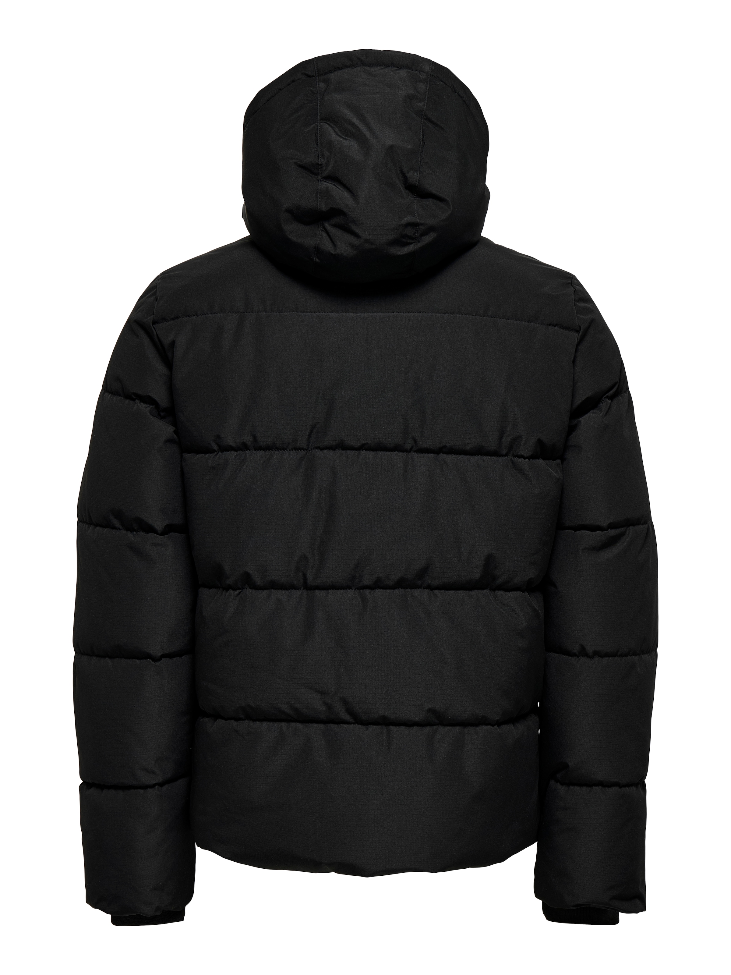 ONLY & SONS Steppjacke »ONSELIJAH PCKT. HOOD JACKET OTW NOOS«, mit Kapuze