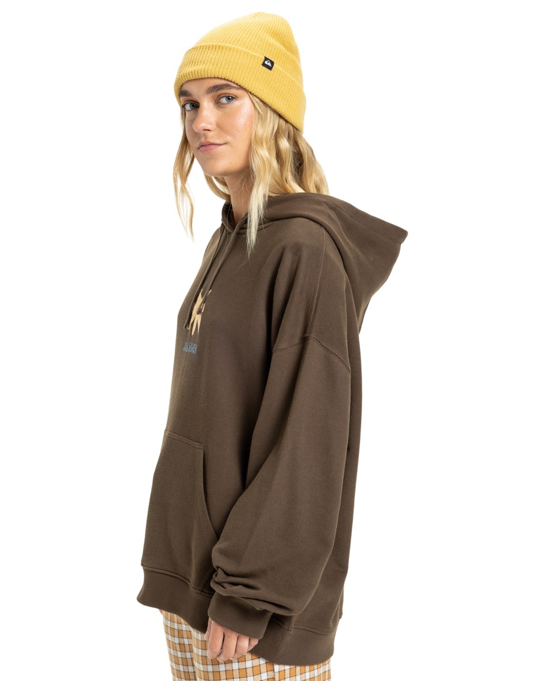 Quiksilver Kapuzensweatshirt »Standard«
