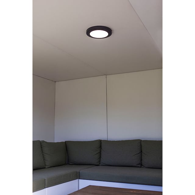 LUTEC LED Außen-Deckenleuchte »KAYAH« online bestellen | UNIVERSAL
